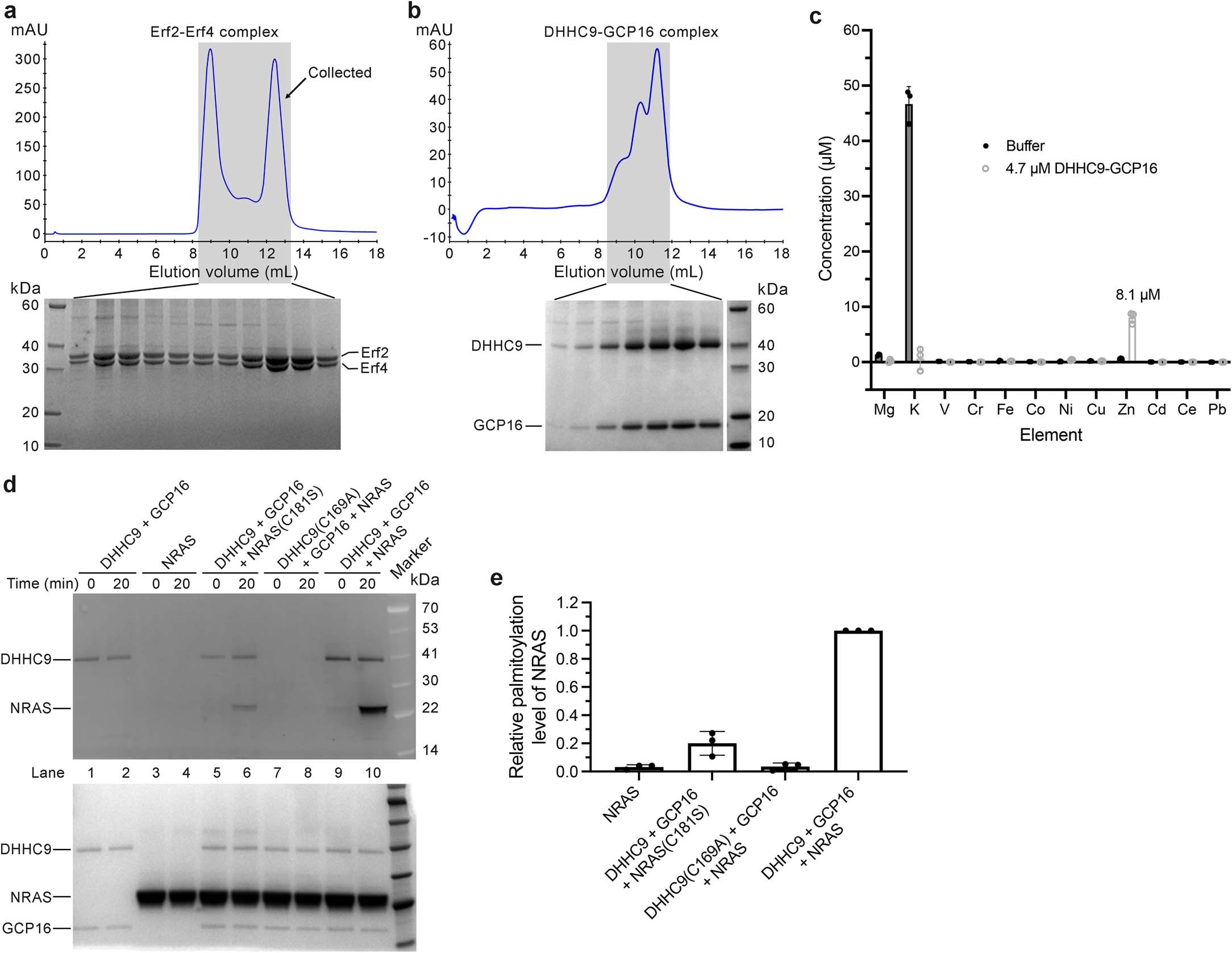 Extended Data Fig. 1: Purification and characterization of the Erf2-Erf4 complex and the DHHC9-GCP16 complex.