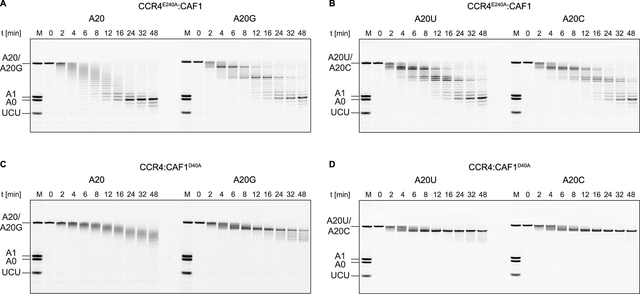 Extended Data Fig. 4