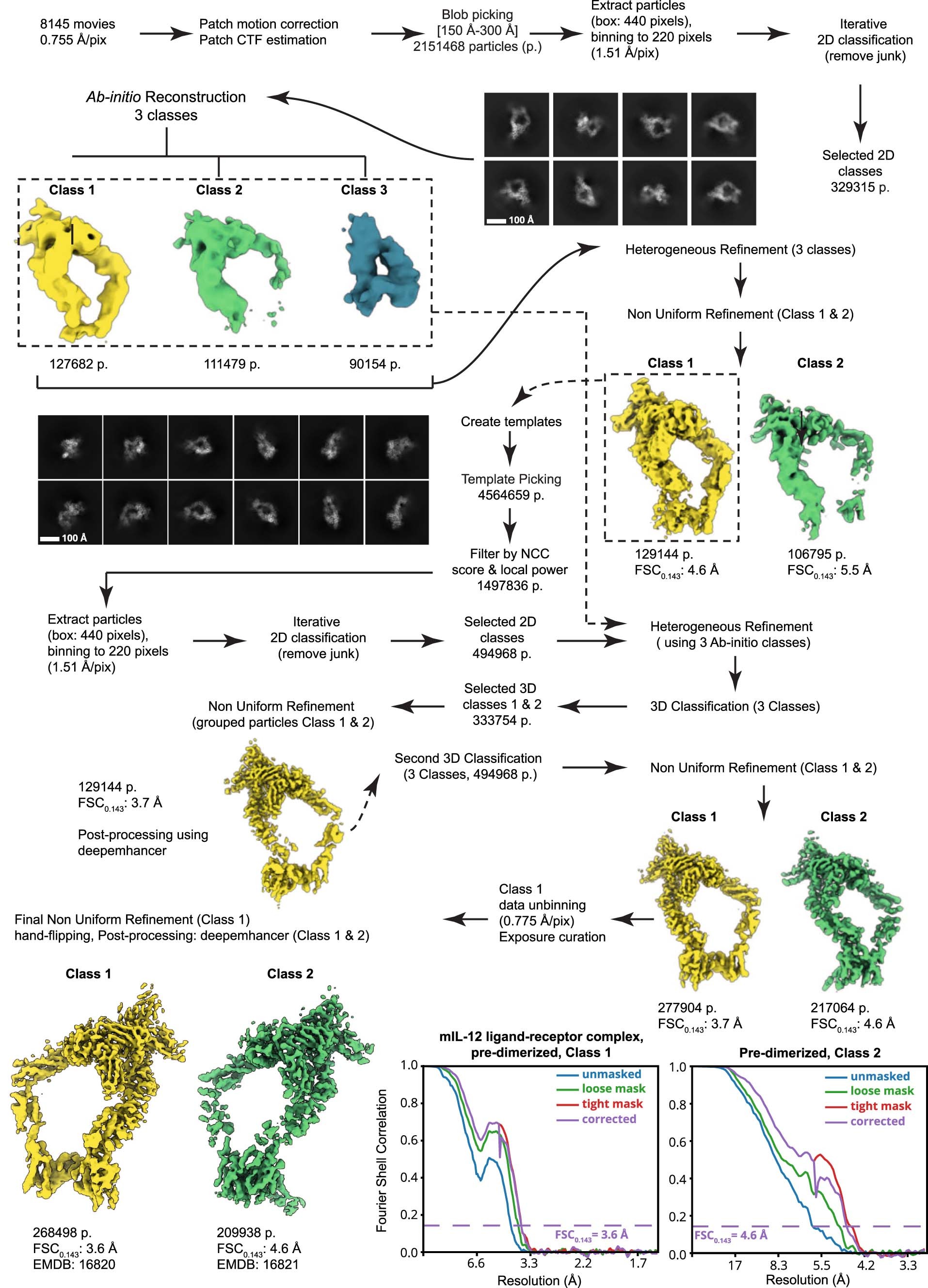 Extended Data Fig. 2