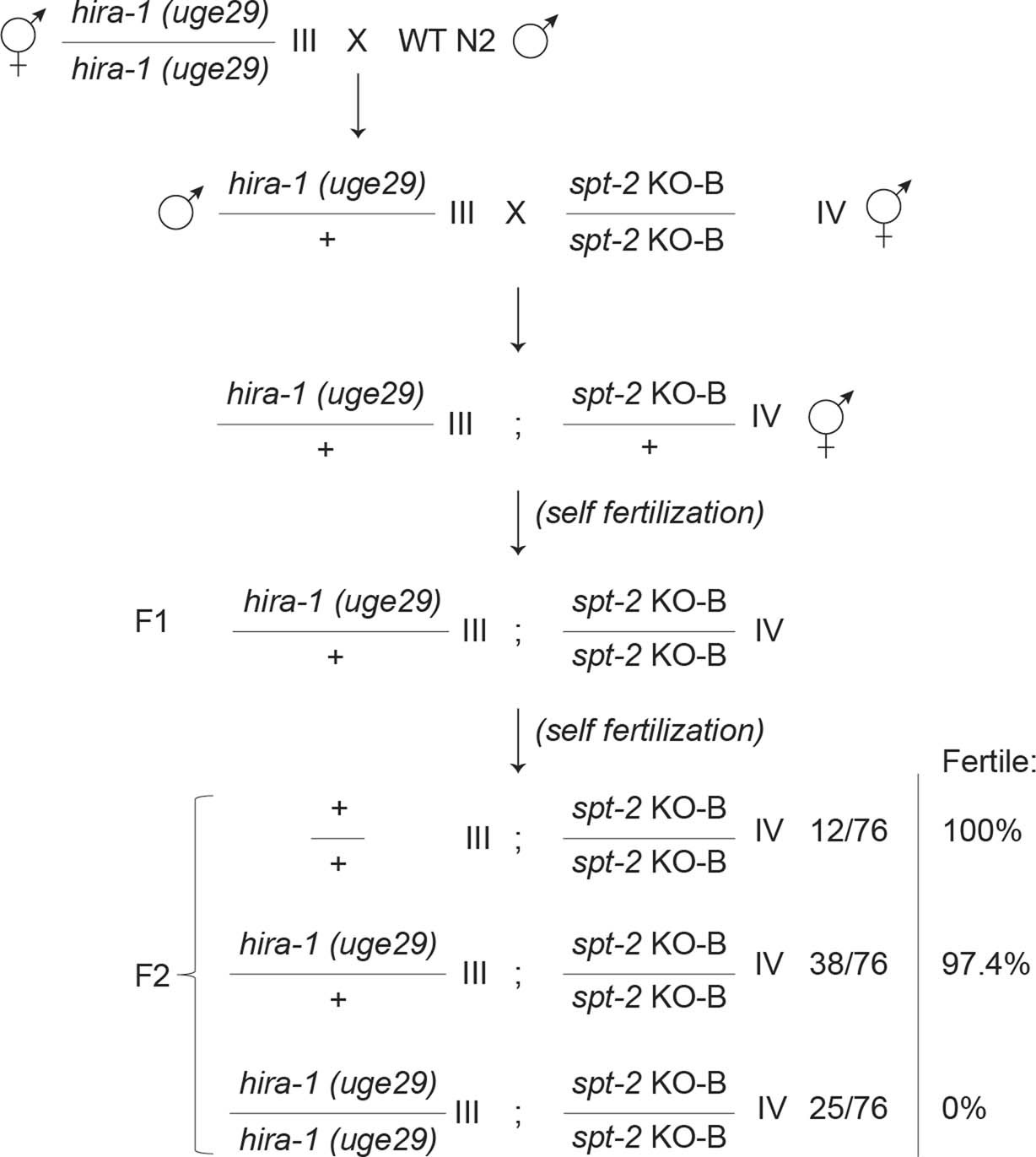 Extended Data Fig. 5