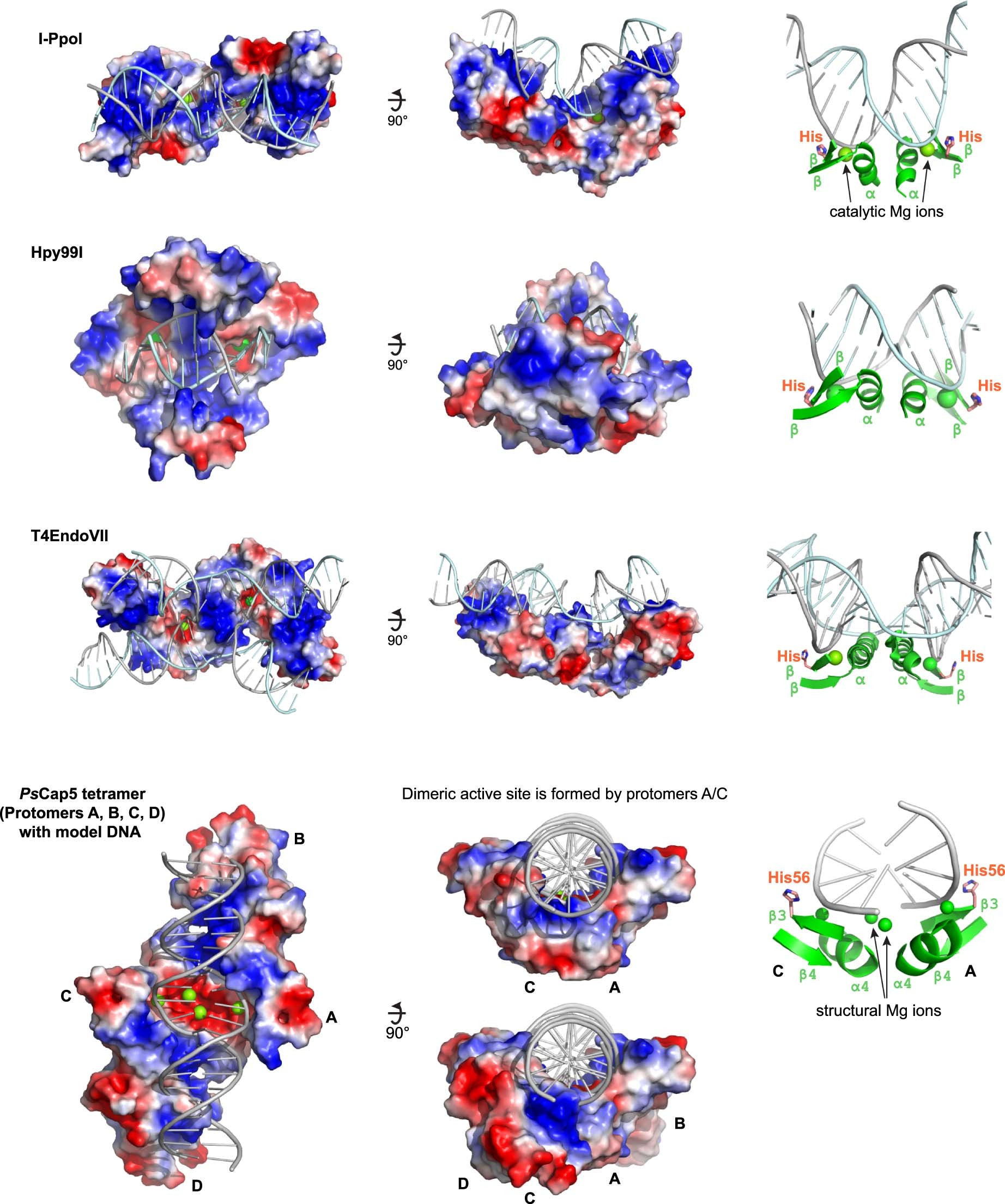 Extended Data Fig. 6