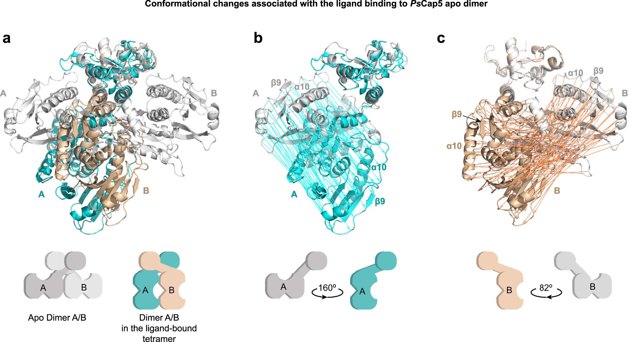 Extended Data Fig. 9
