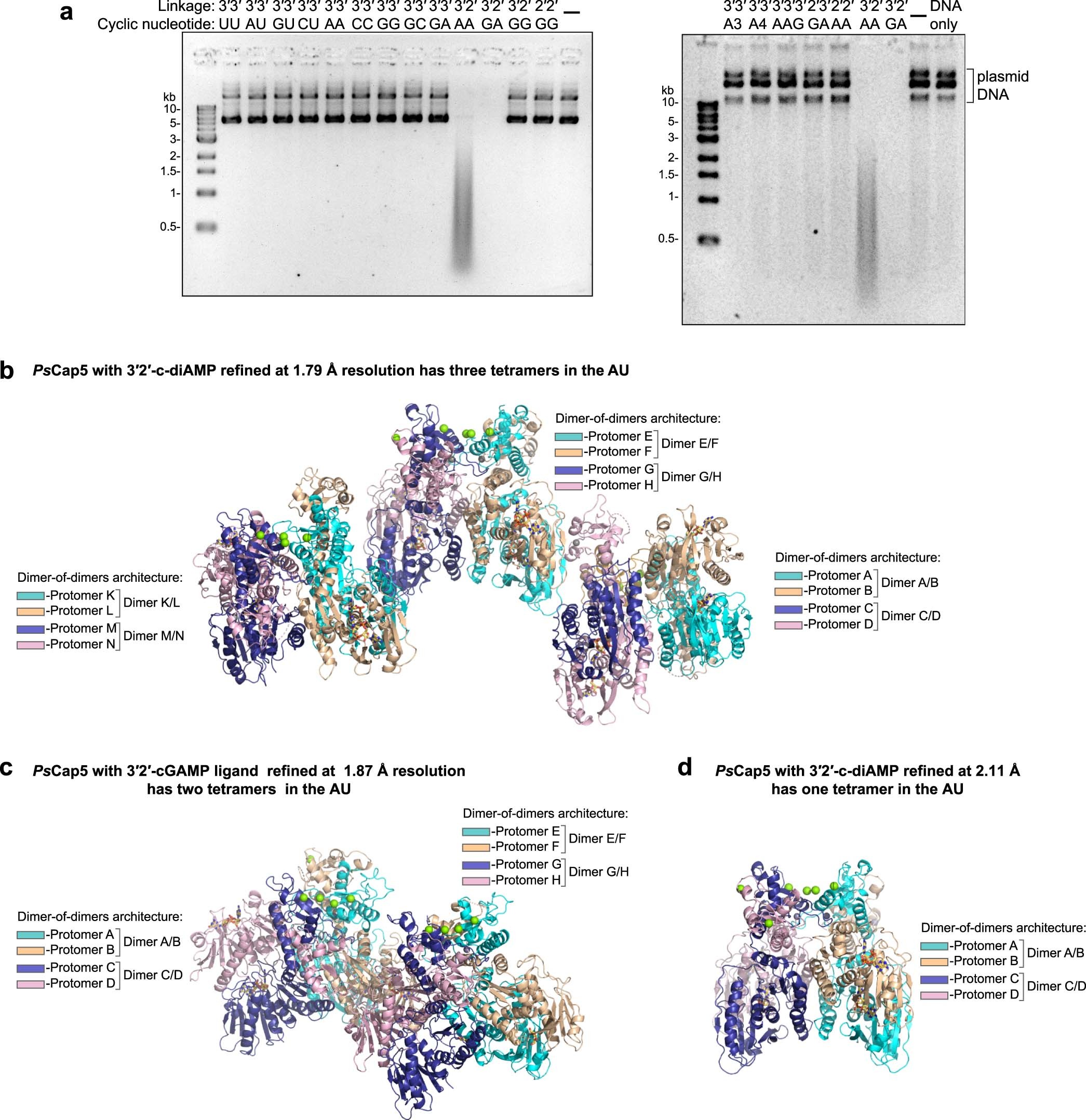Extended Data Fig. 1