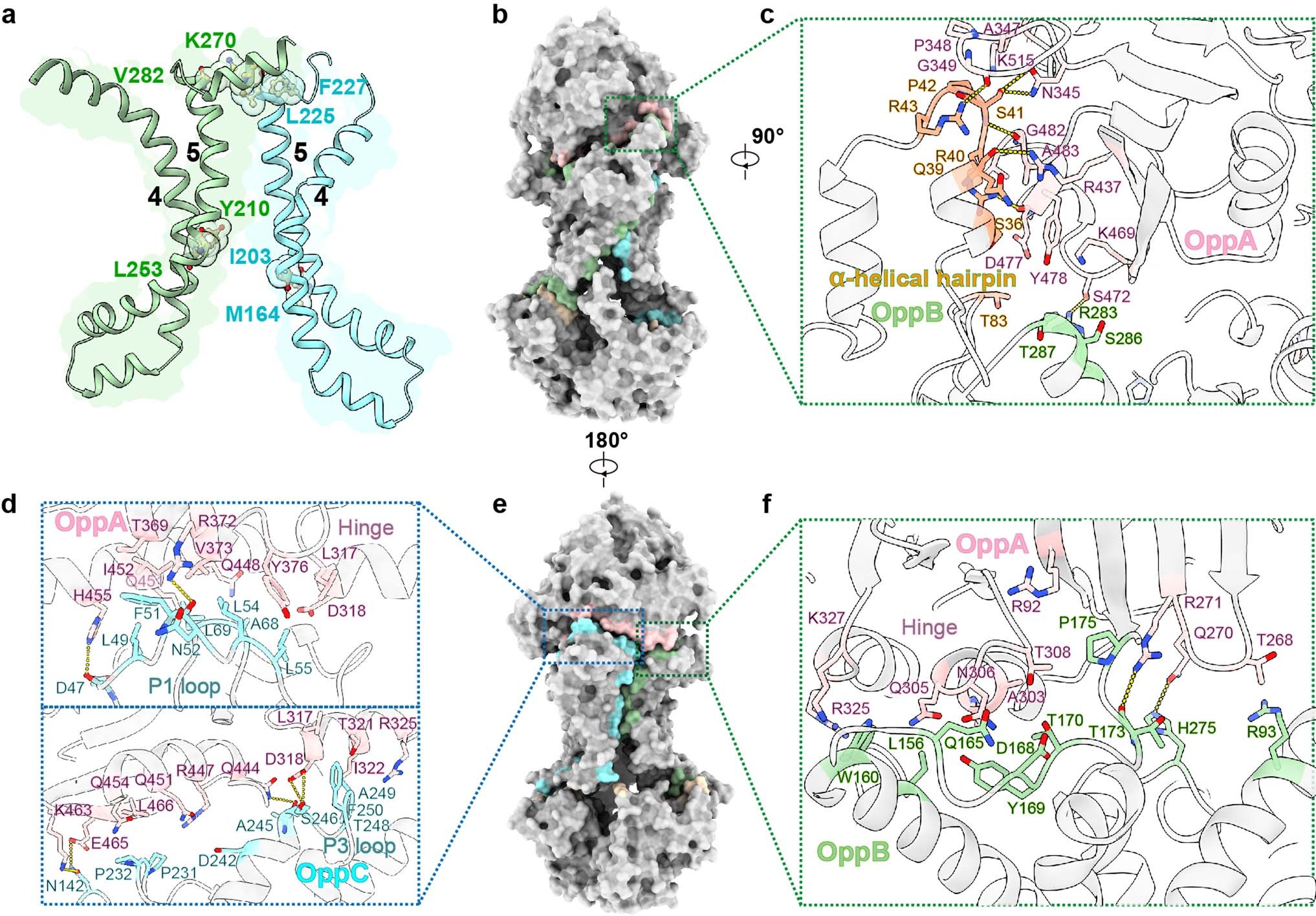 Extended Data Fig. 4