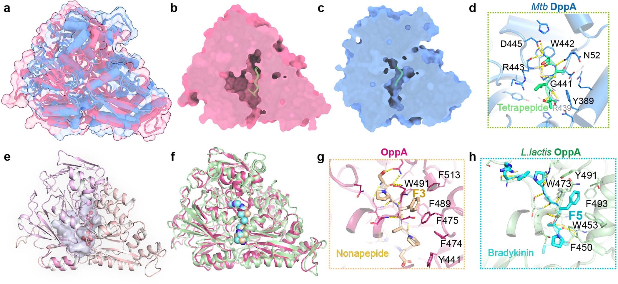 Extended Data Fig. 10