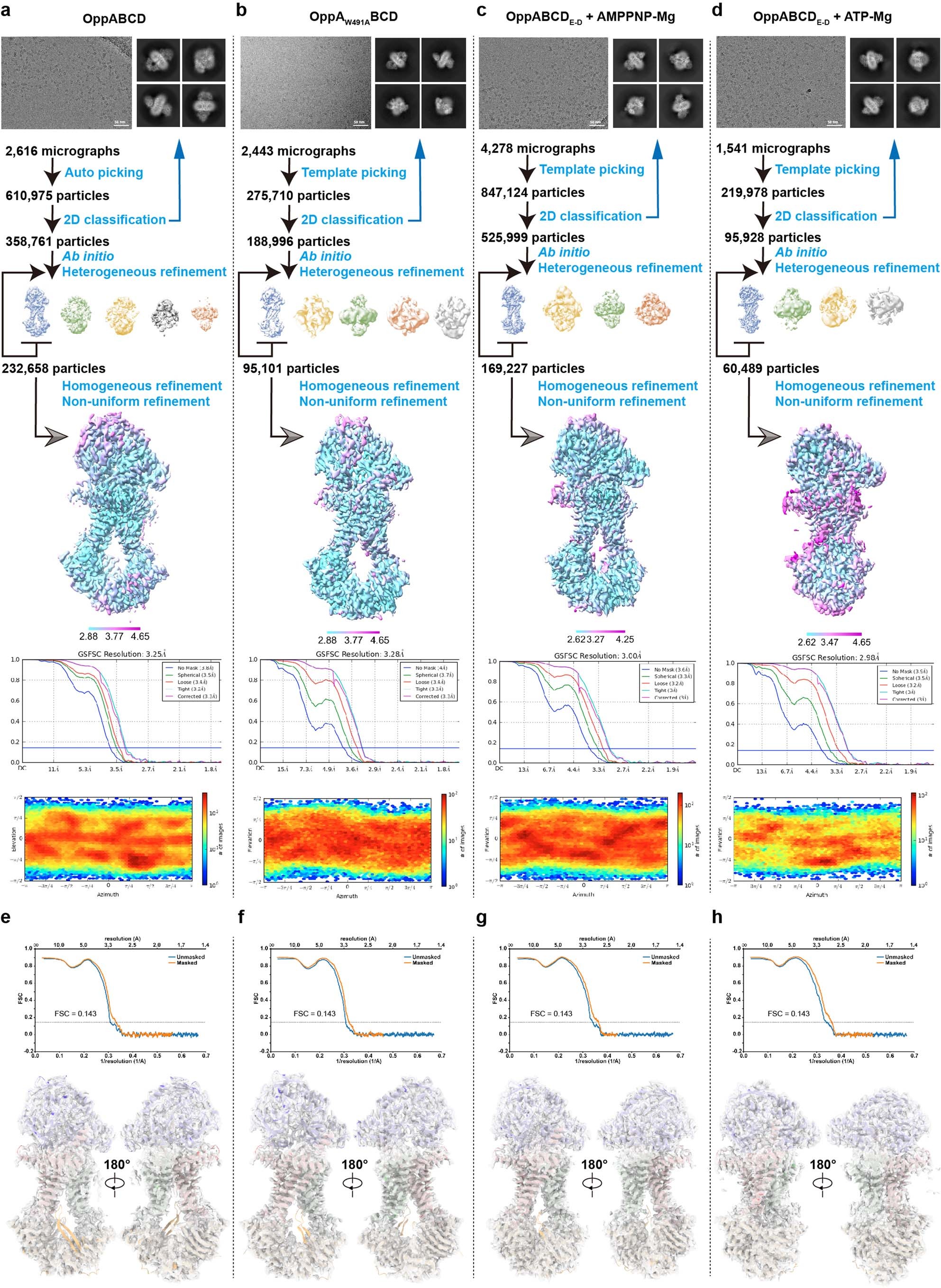 Extended Data Fig. 2