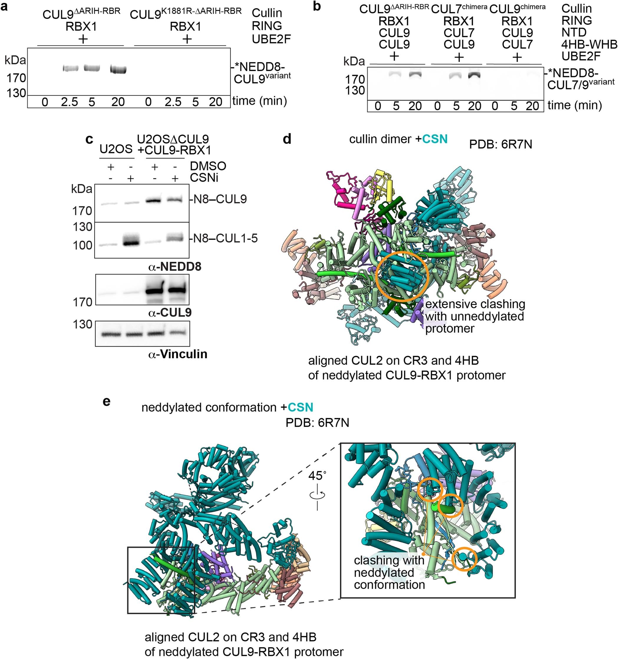 Extended Data Fig. 9