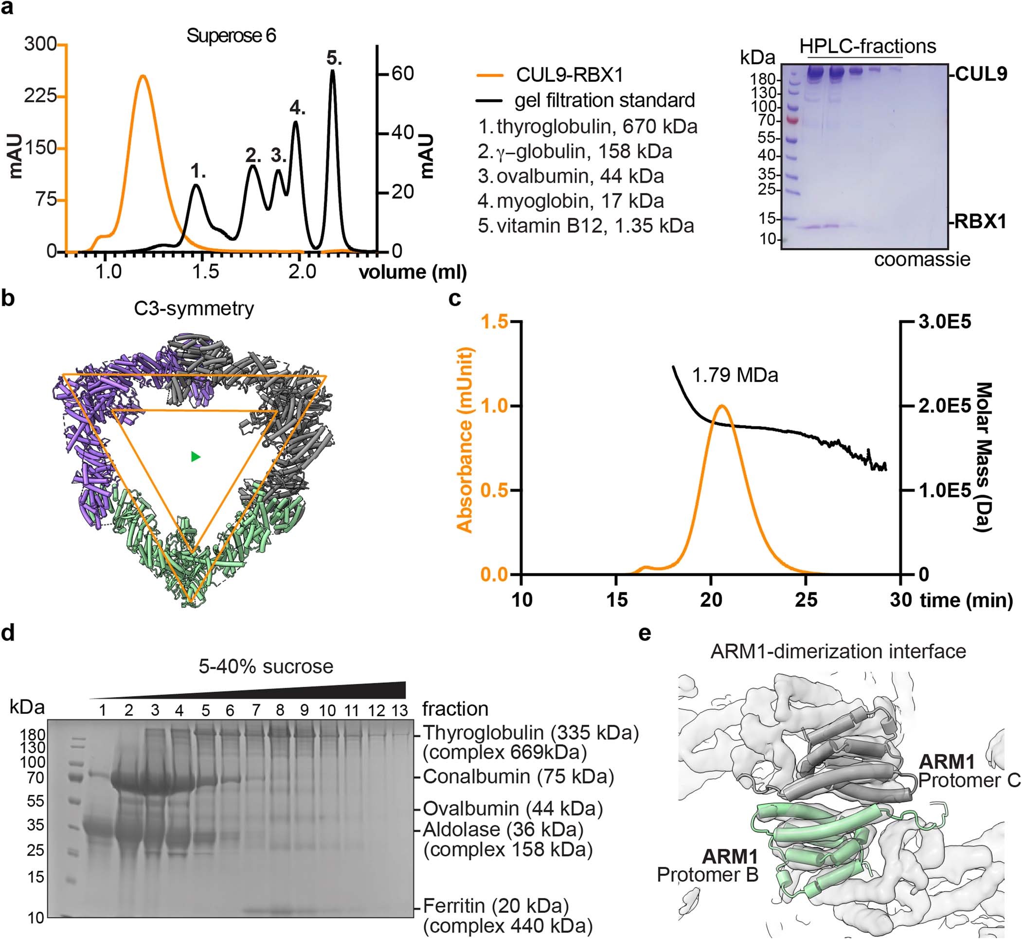 Extended Data Fig. 1: Biochemical analysis of the oligomeric assembly formed by CUL9–RBX1.