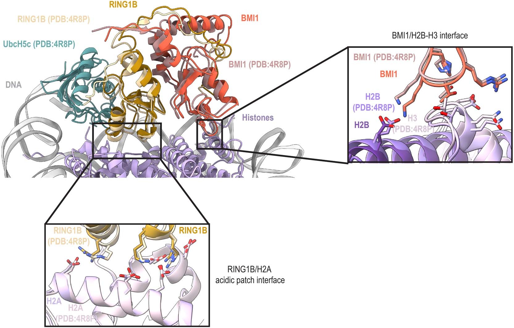 Extended Data Fig. 2