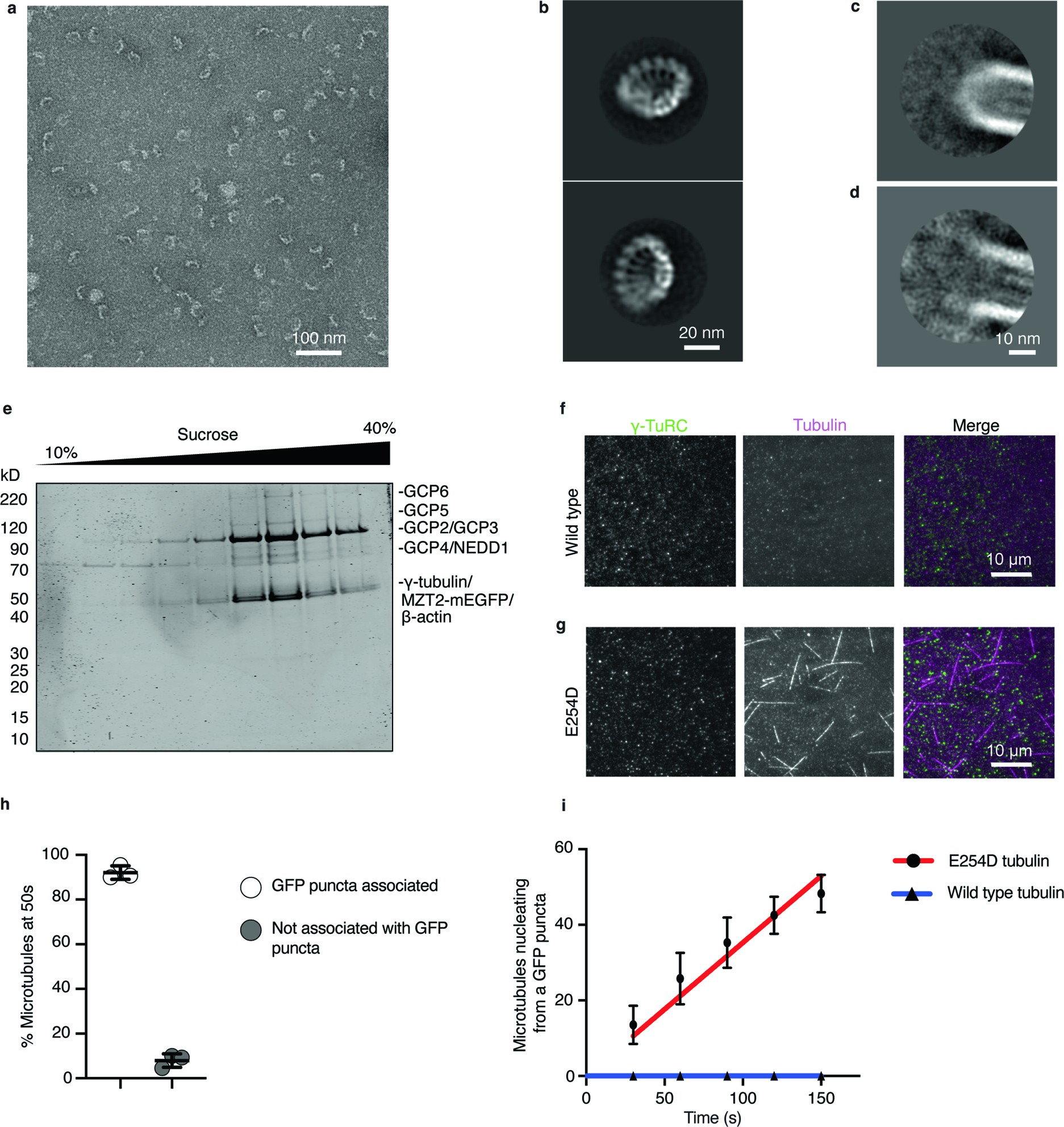 Extended Data Fig. 1