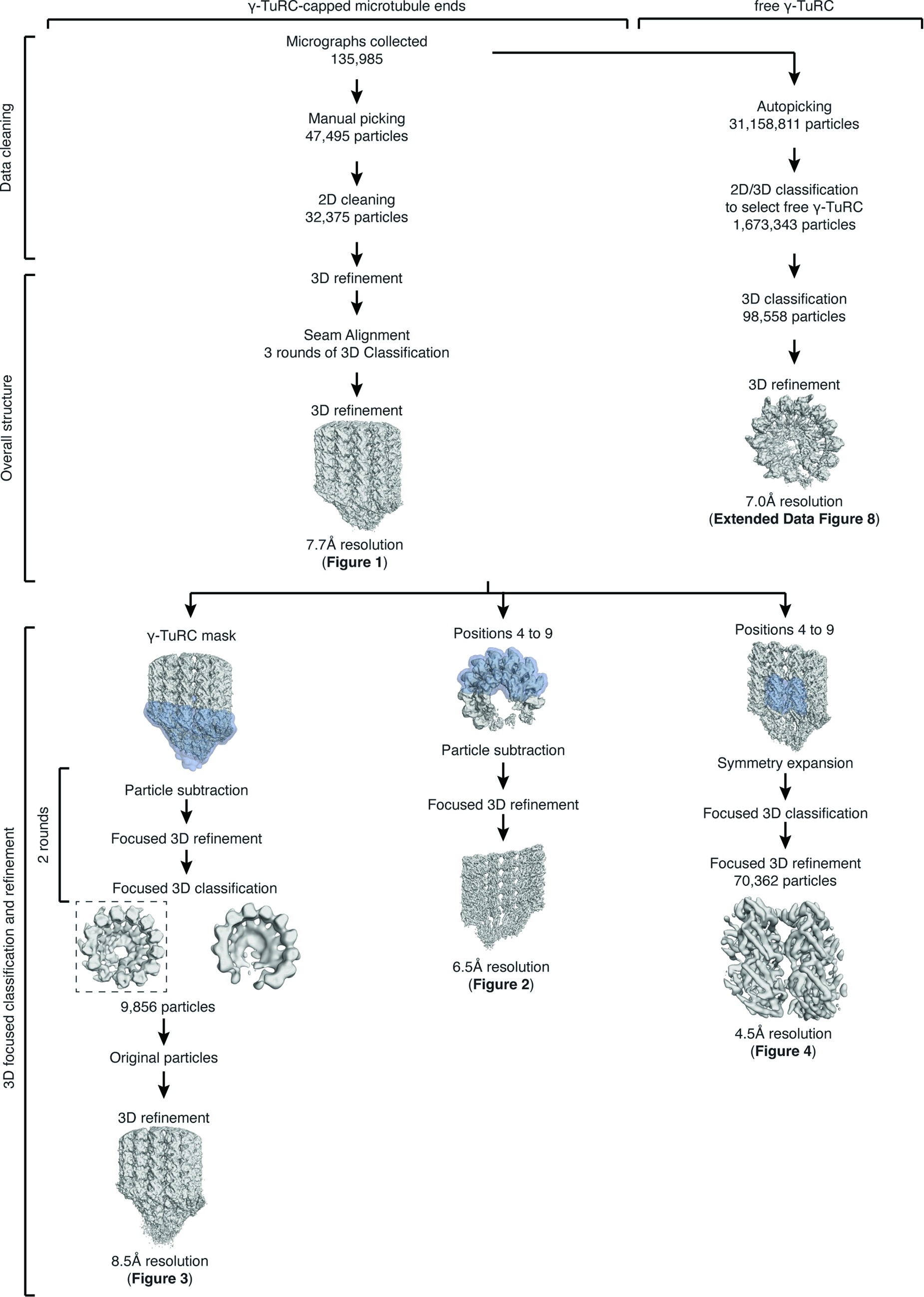 Extended Data Fig. 2