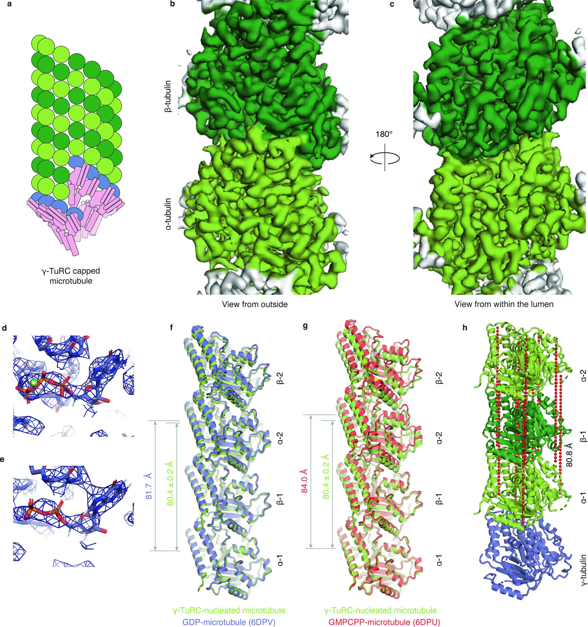 Extended Data Fig. 4