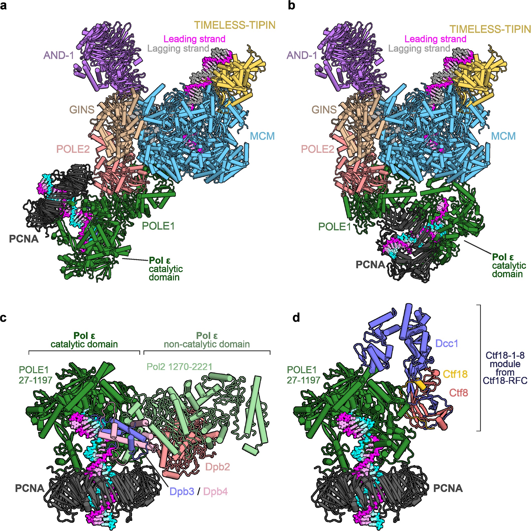 Extended Data Fig. 6