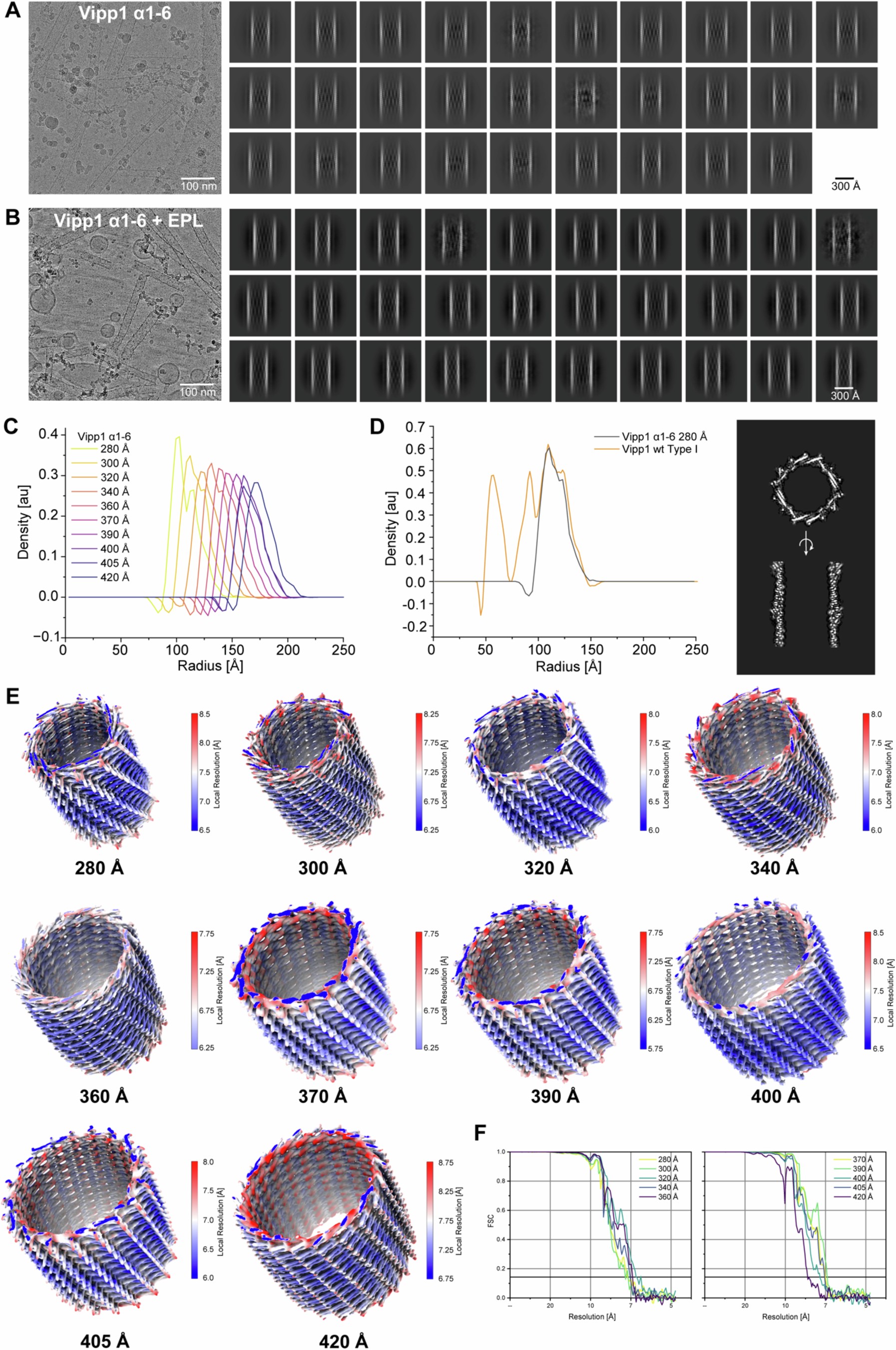 Extended Data Fig. 4: Vipp1(α1-6) helical tubes in the absence and presence of membrane.