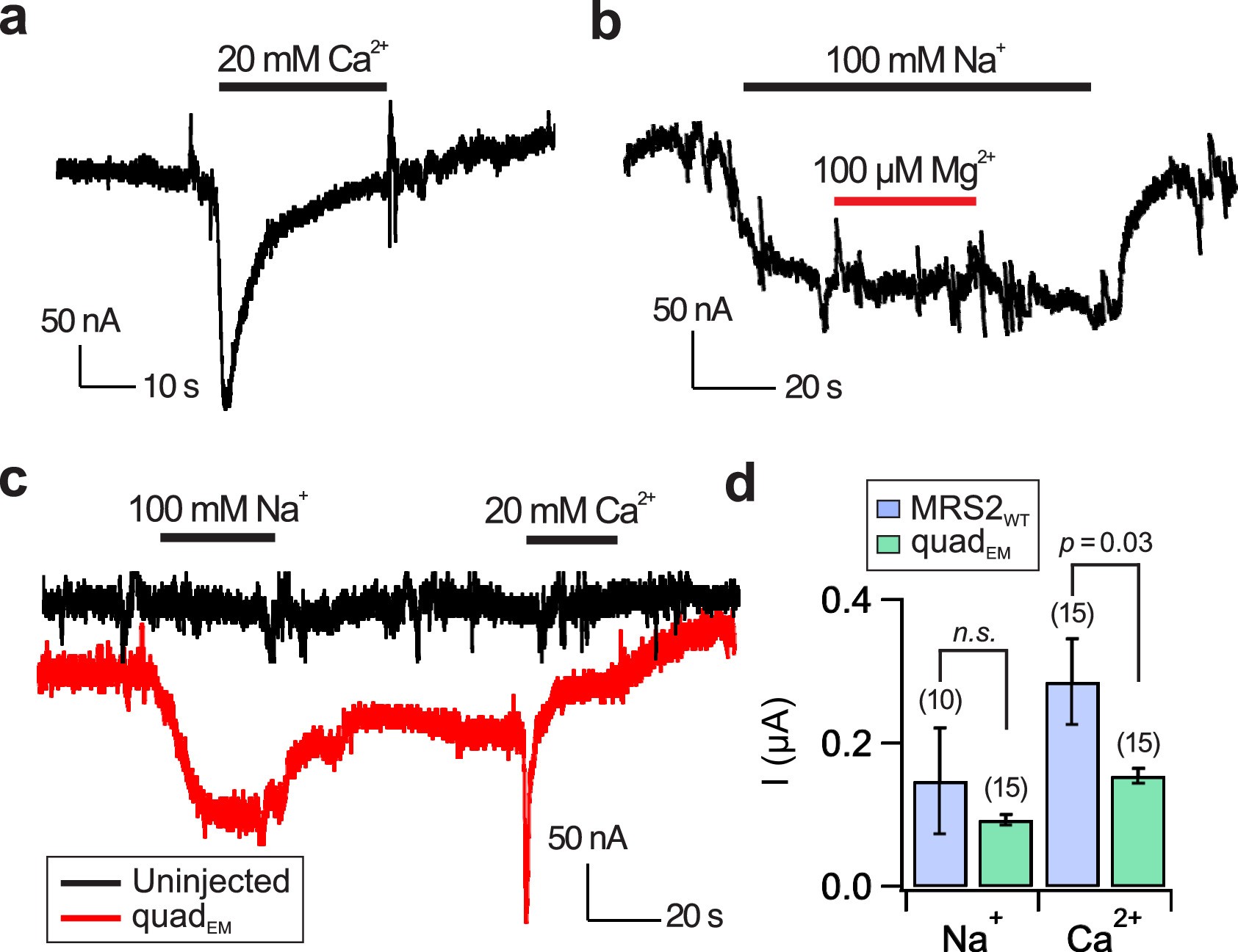 Extended Data Fig. 8: MRS2 function without R332S.