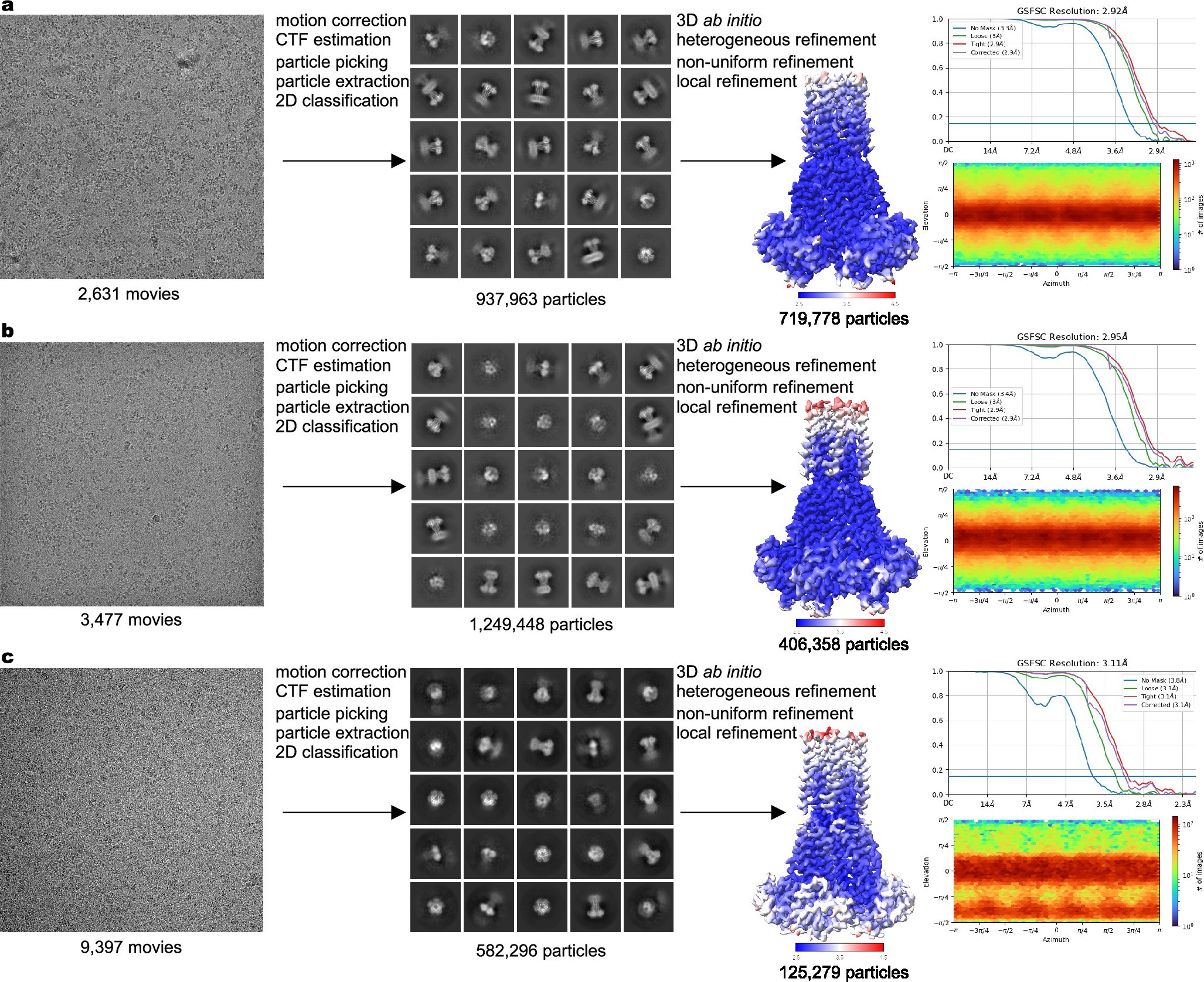 Extended Data Fig. 1: Cryo-EM data processing and validation.