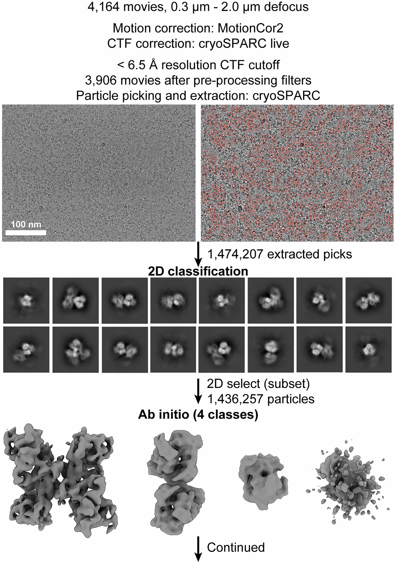 Extended Data Fig. 7