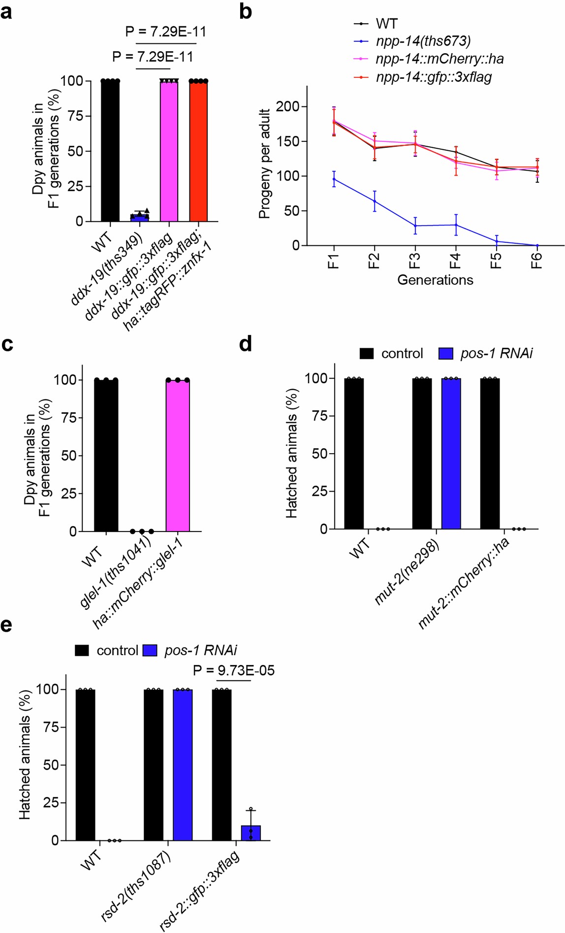 Extended Data Fig. 3: Introduce fluorescence protein genes to endogenous locus generated functional fusion proteins.
