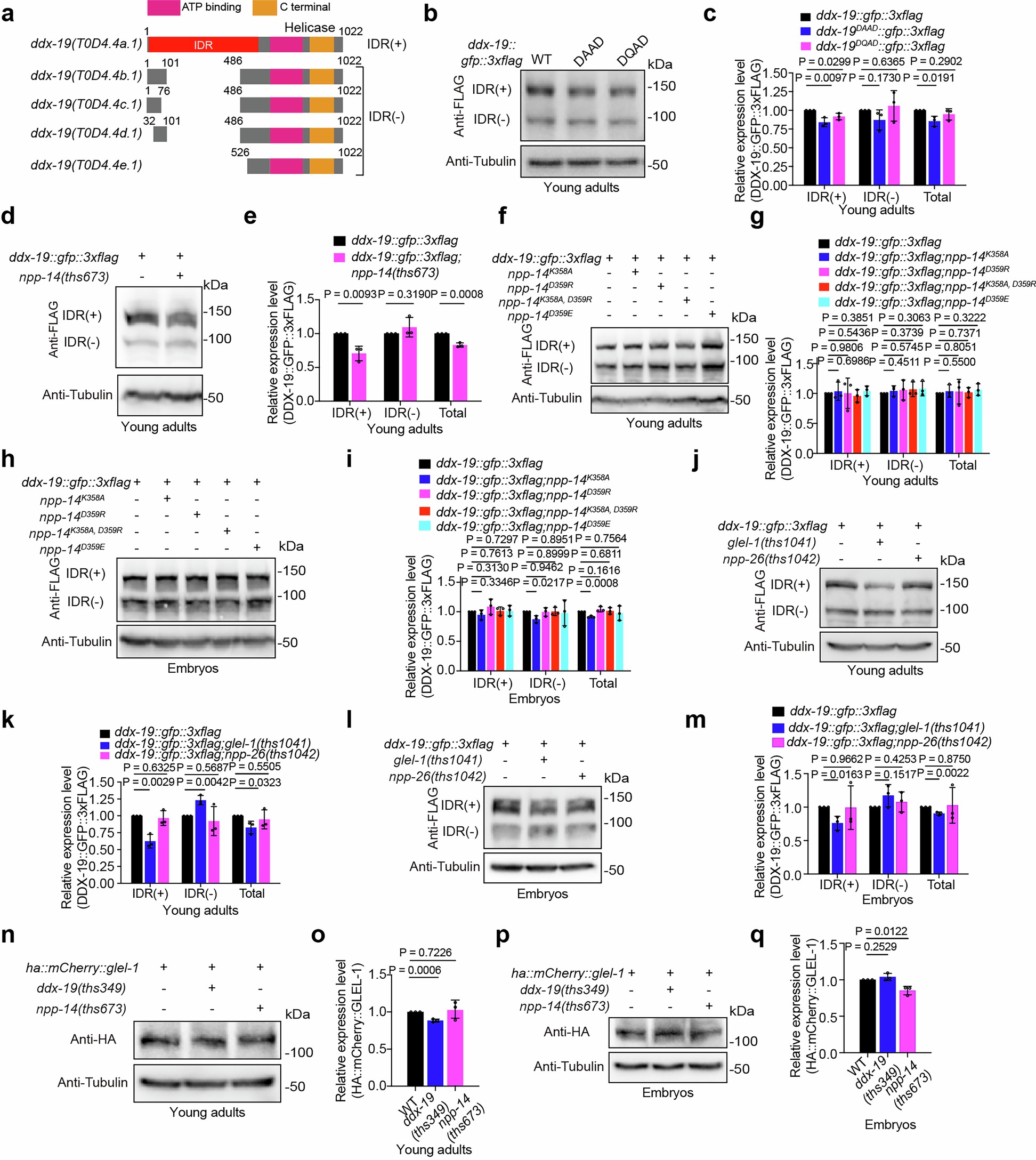 Extended Data Fig. 5: The effect of genetic mutations on protein levels.
