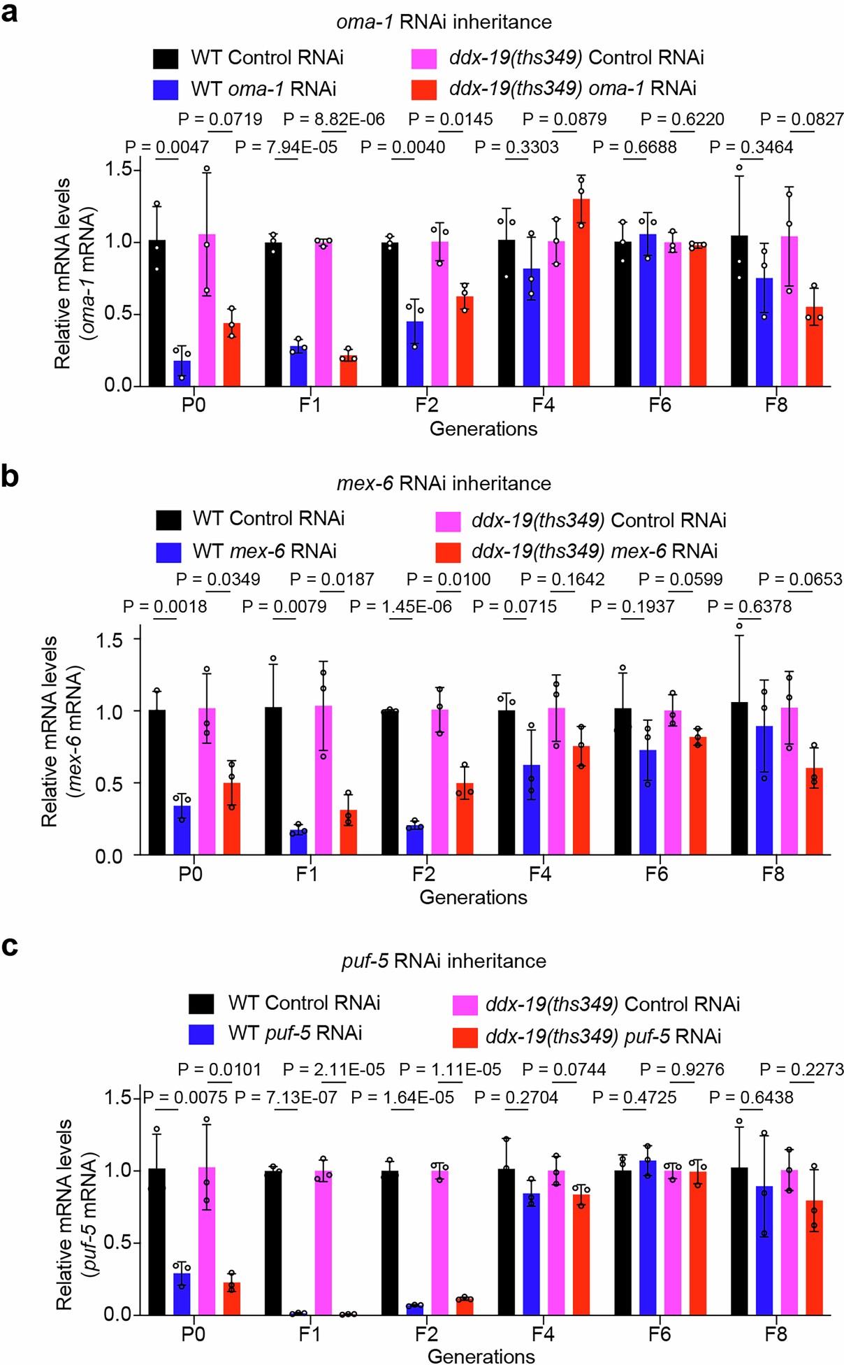 Extended Data Fig. 2: The TEI of RNAi targeting three endogenously expressed genes was not enhanced following the loss of DDX-19.