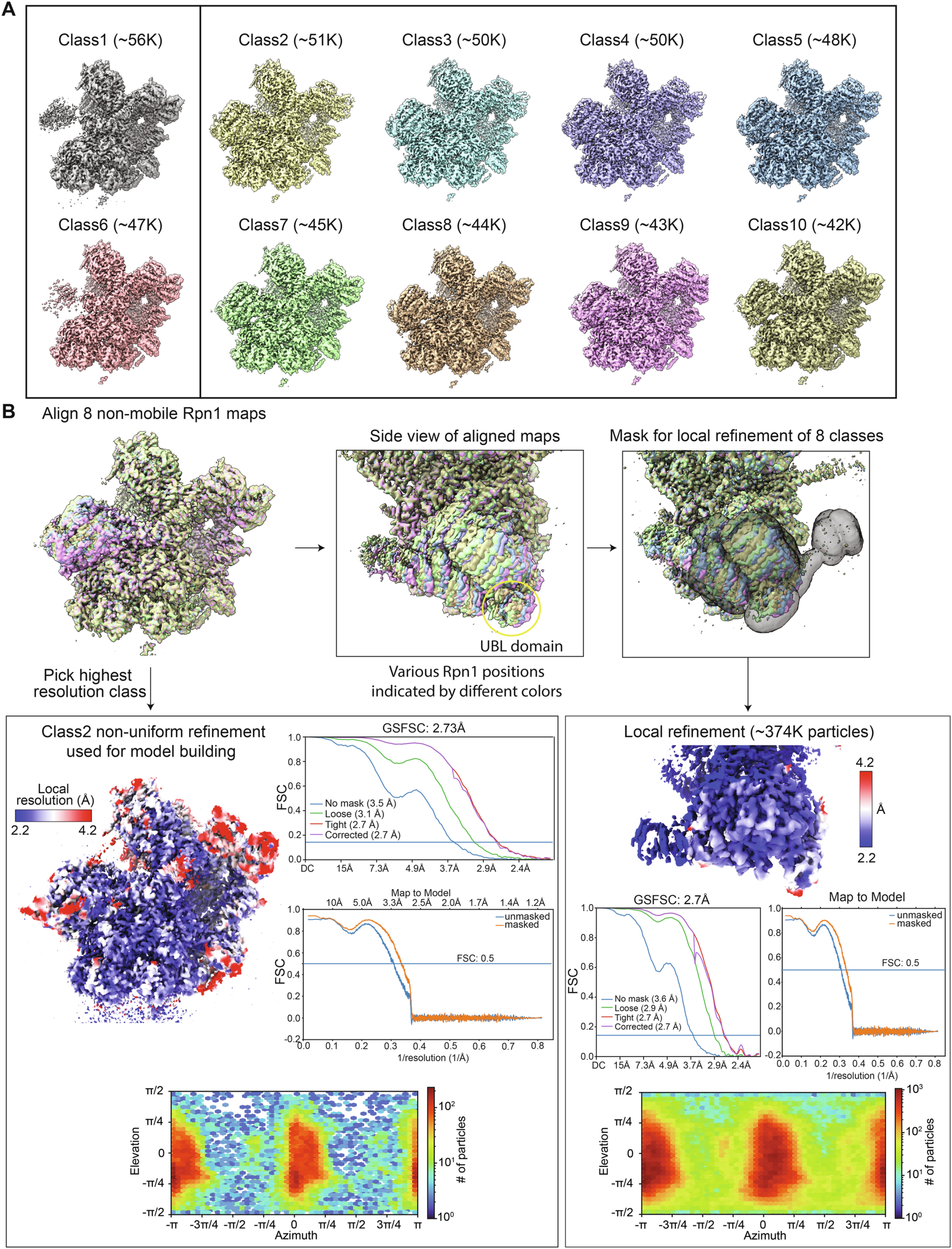 Extended Data Fig. 7: Continued cryo-EM data processing for the 30 s data set, focusing on Rpn1 classification.