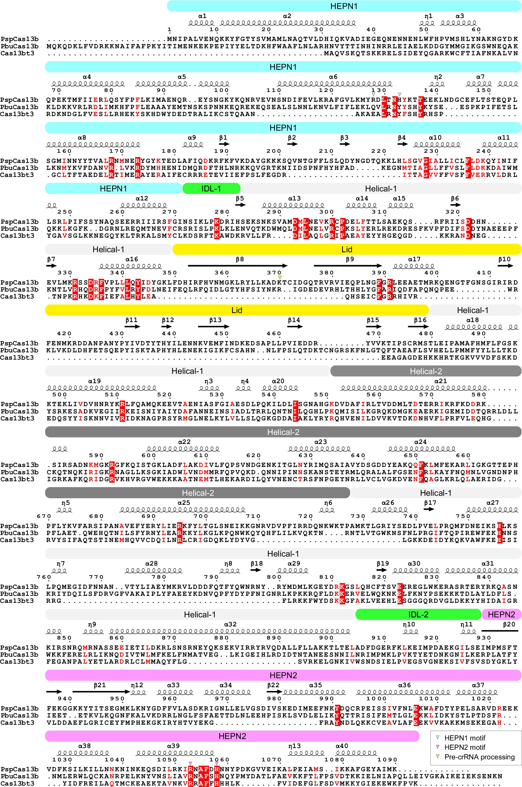 Extended Data Fig. 1