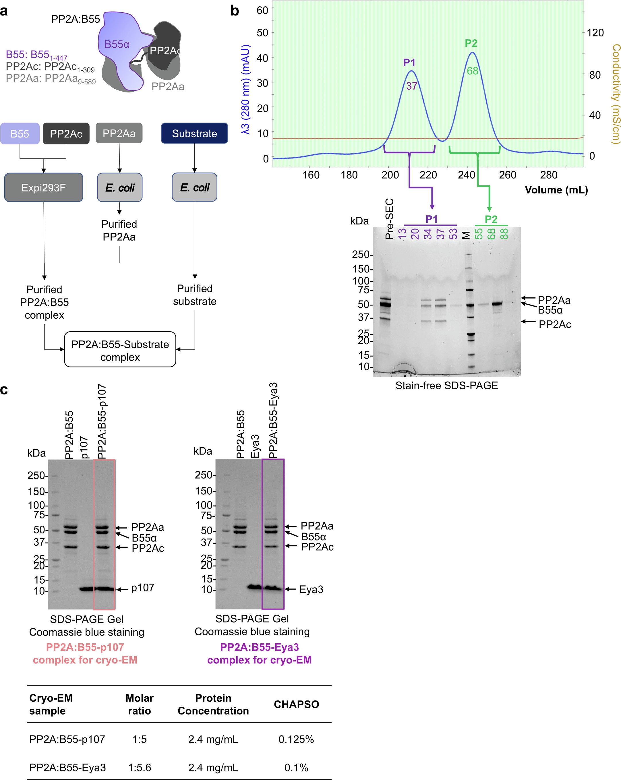 Extended Data Fig. 4