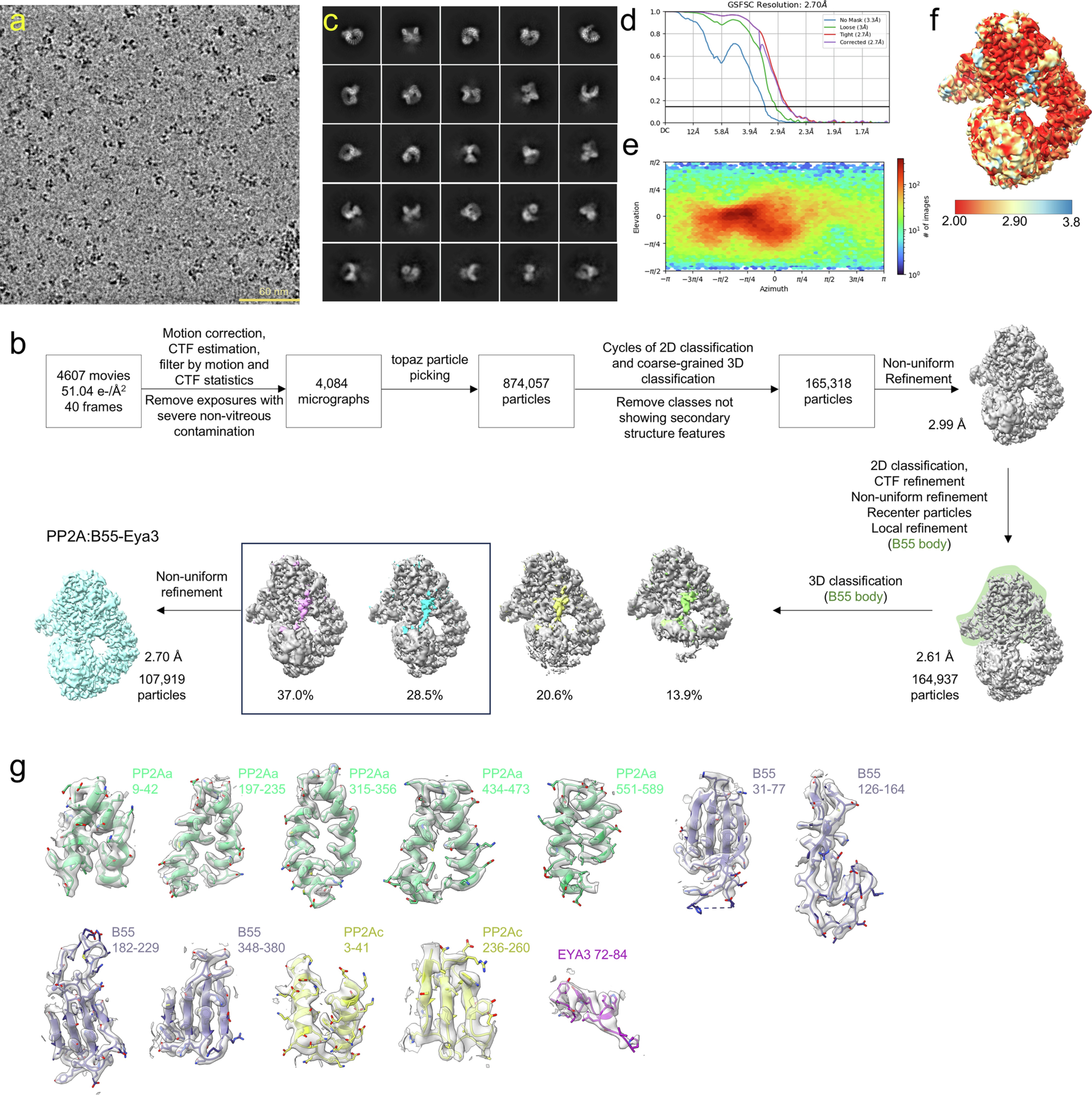 Extended Data Fig. 6