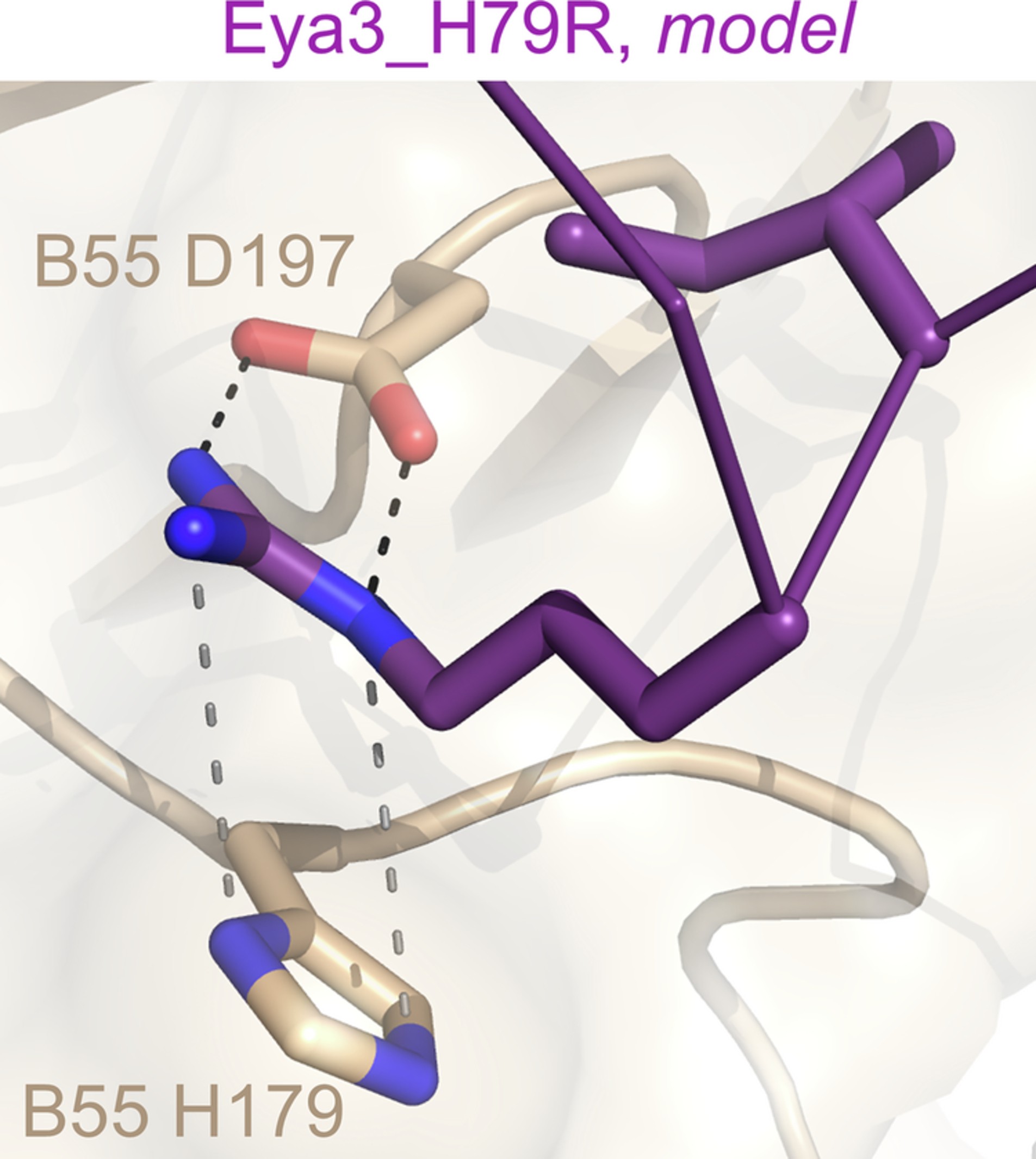 Extended Data Fig. 9