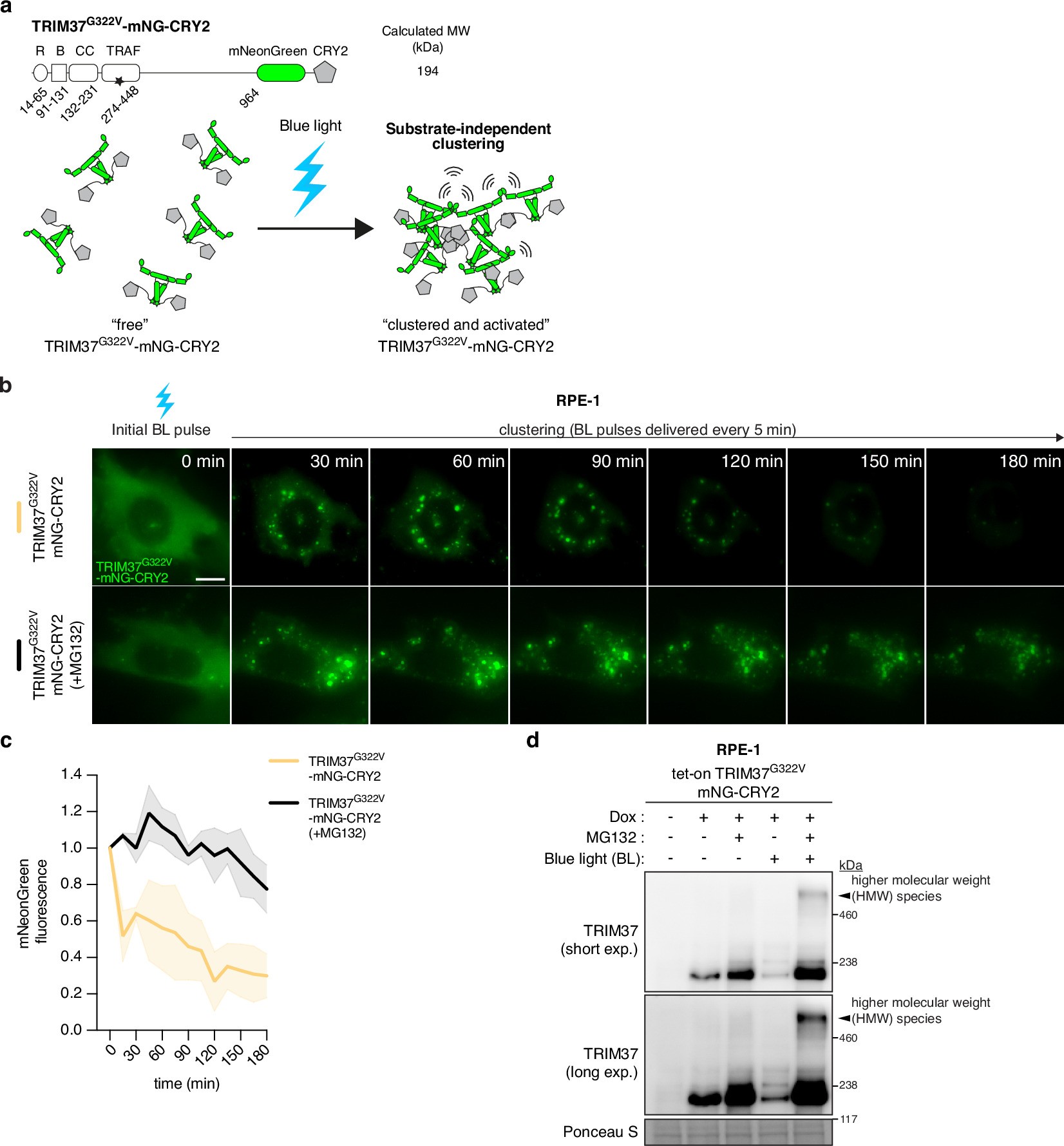 Extended Data Fig. 5