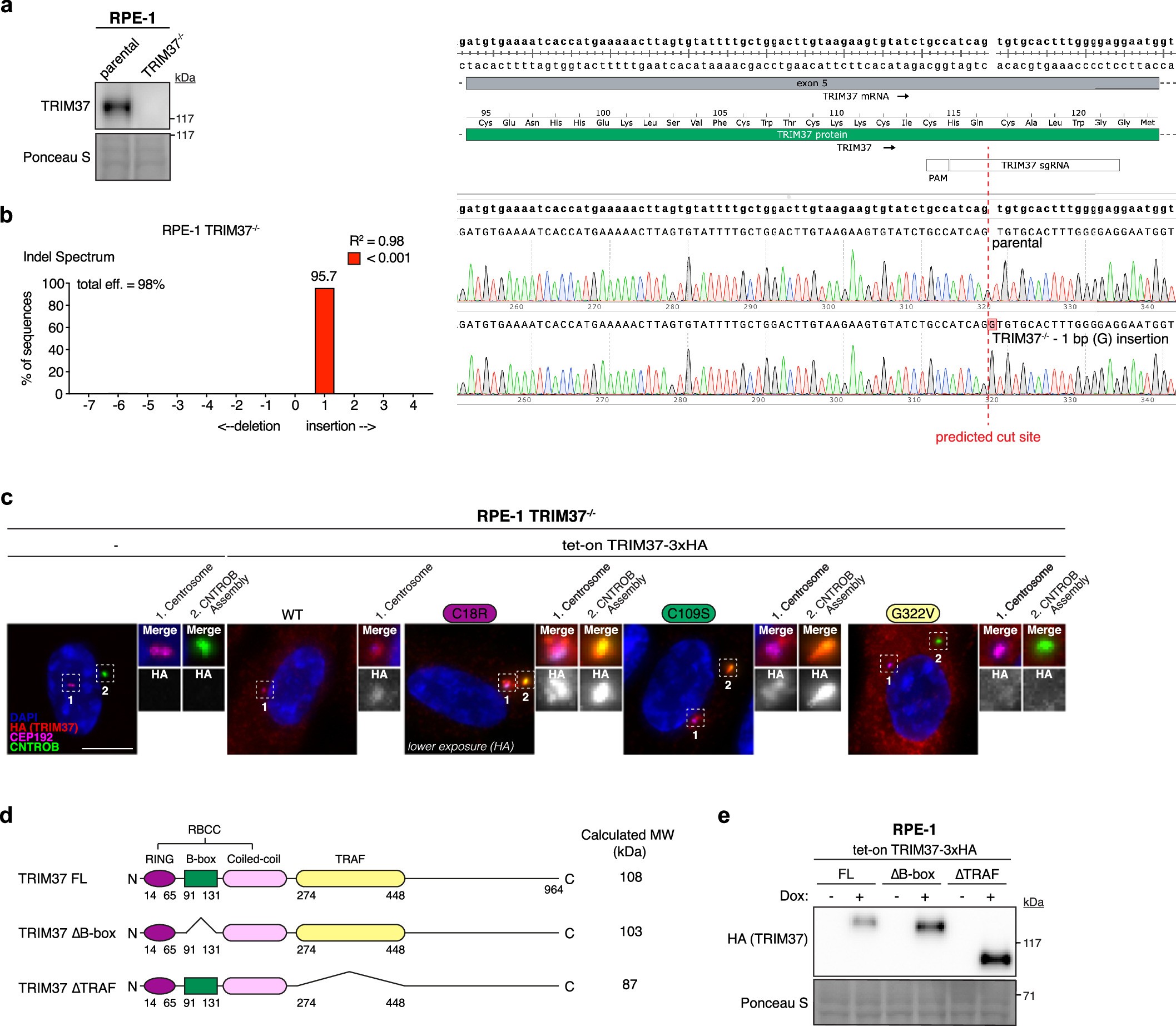 Extended Data Fig. 1