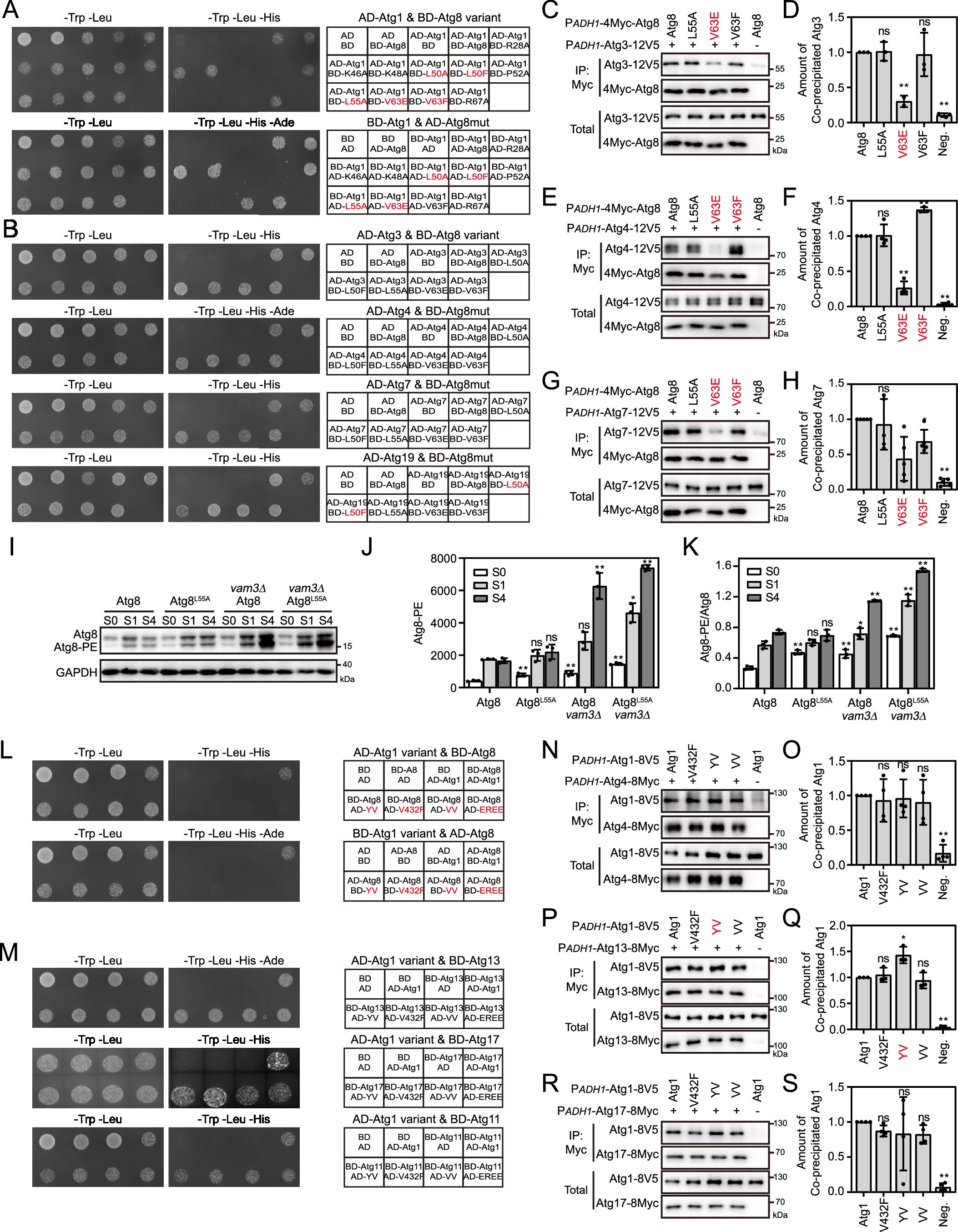 Extended Data Fig. 2