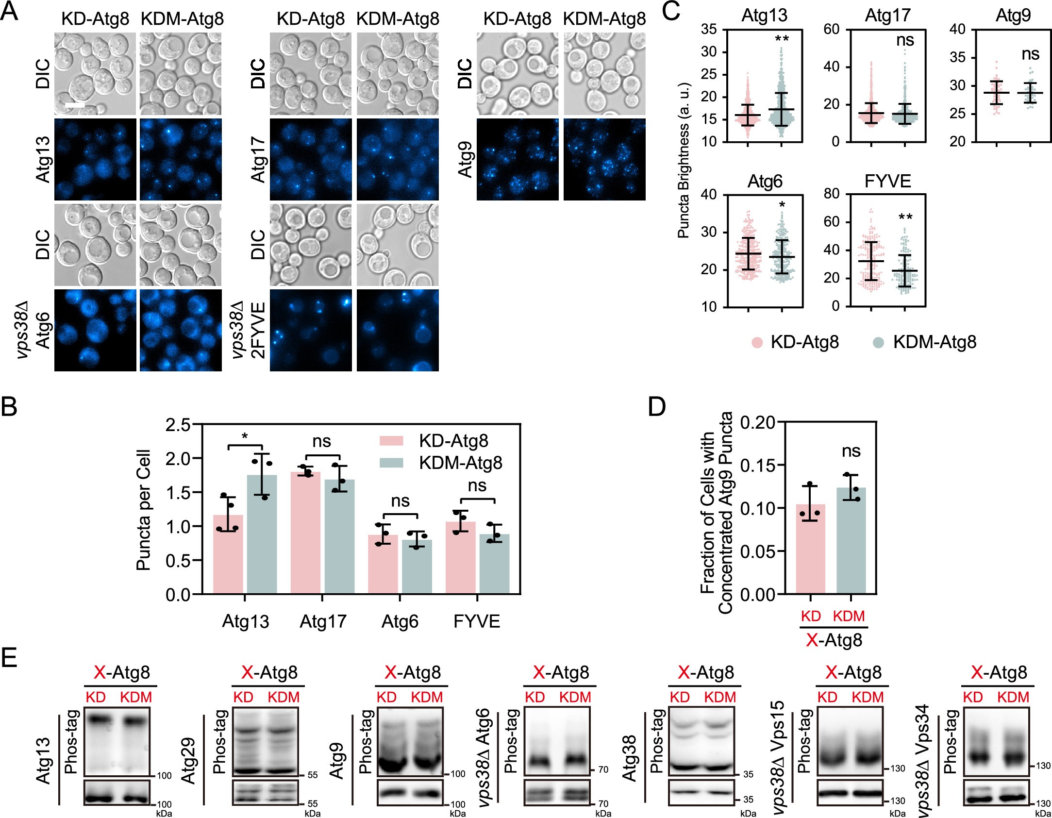 Extended Data Fig. 8