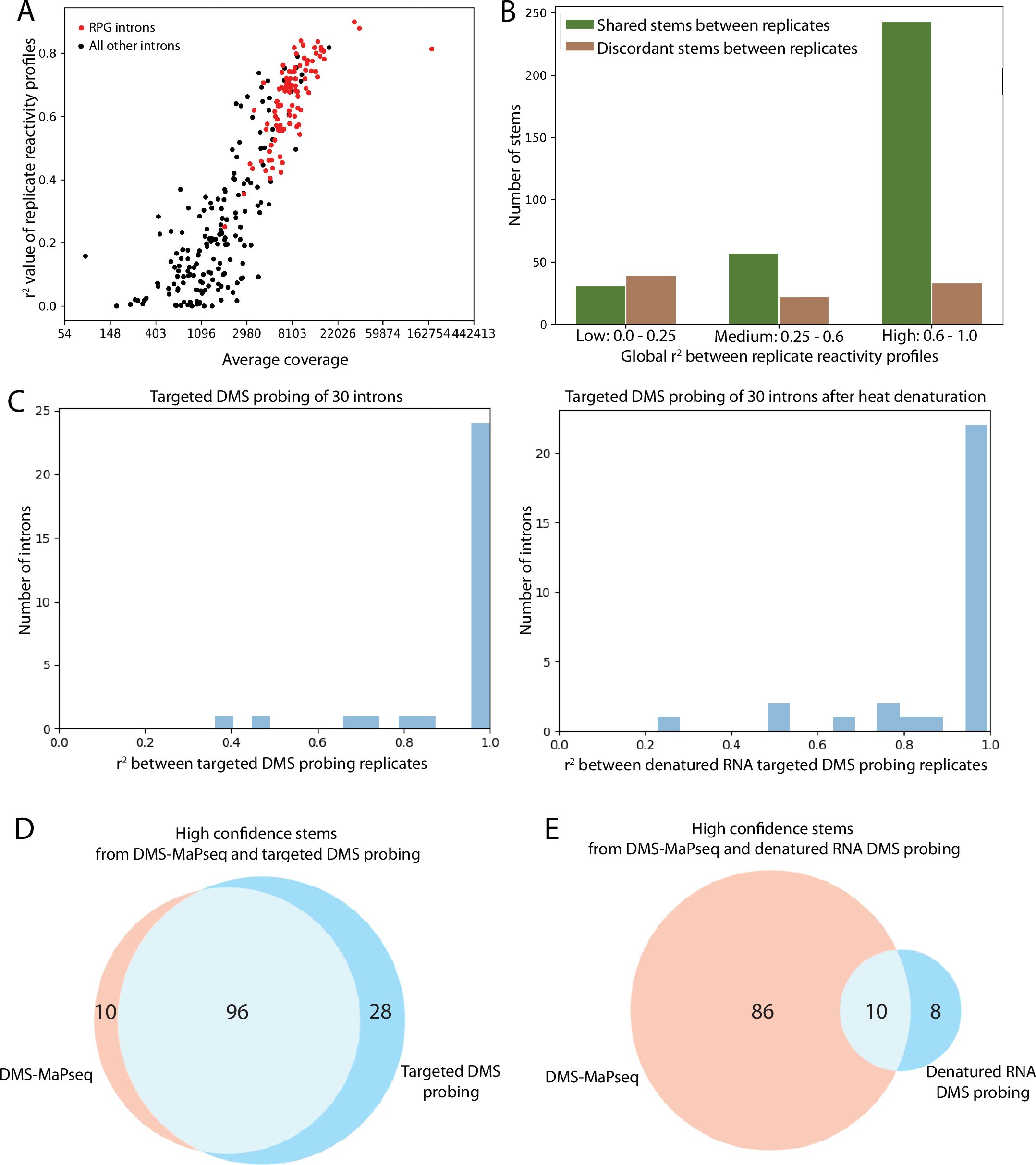 Extended Data Fig. 3: DMS-MaPseq and targeted DMS probing reproducibility between replicates.