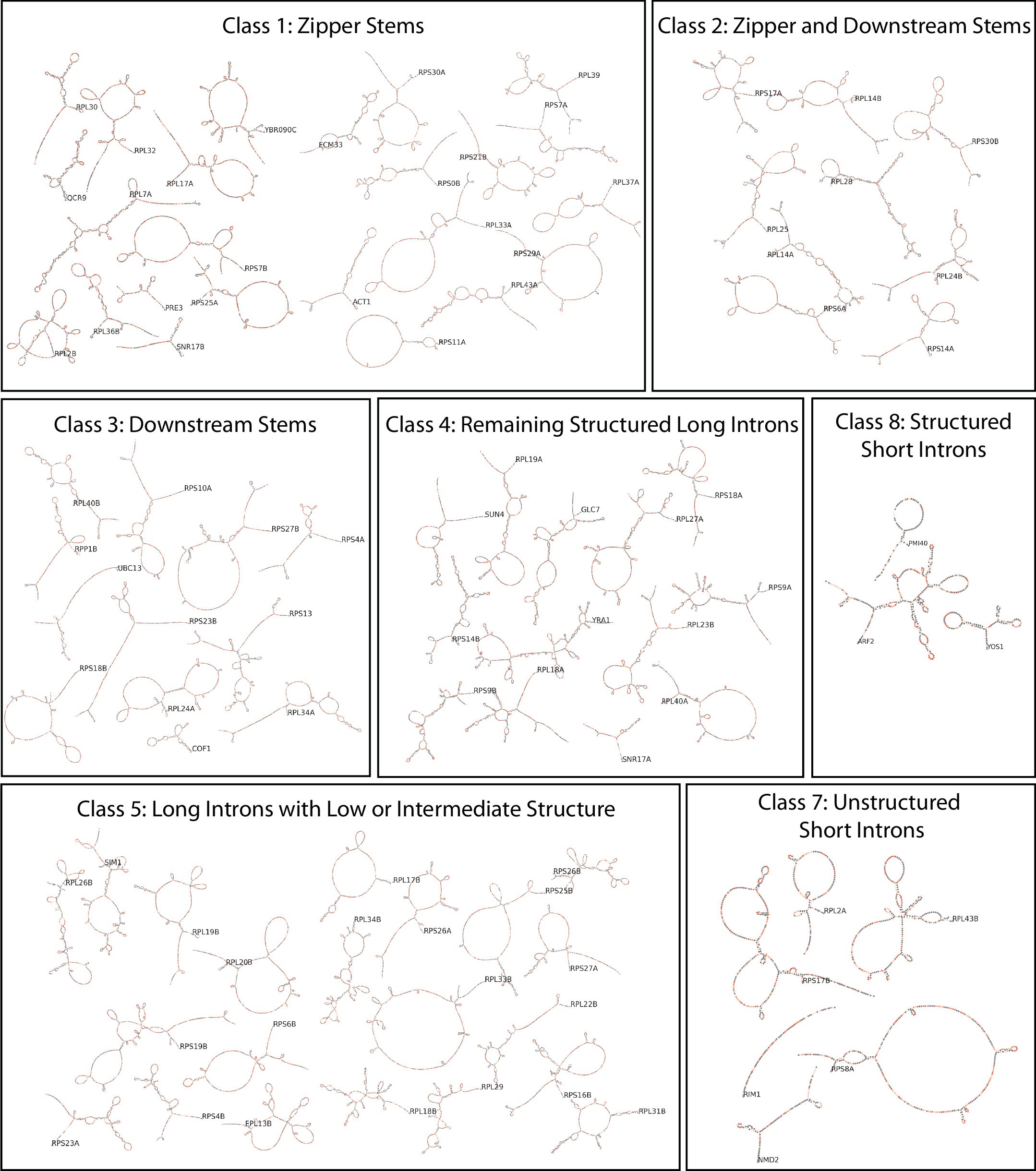 Extended Data Fig. 10: One-page overview of secondary structures and overlaid DMS reactivity profiles for all introns with sufficient coverage from DMS-MaPseq.