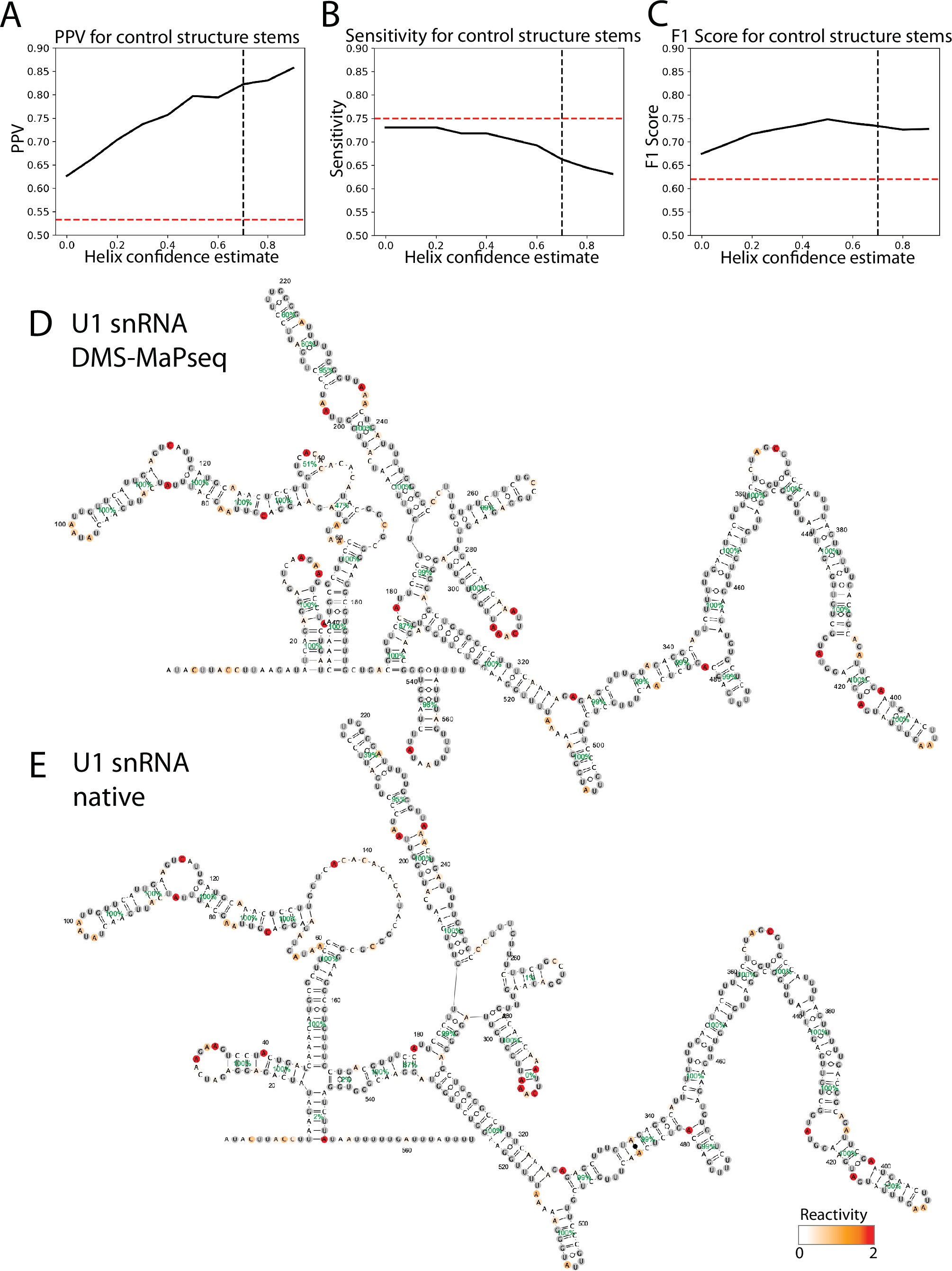 Extended Data Fig. 2: Support from DMS reactivity for in vivo formation of control structures.