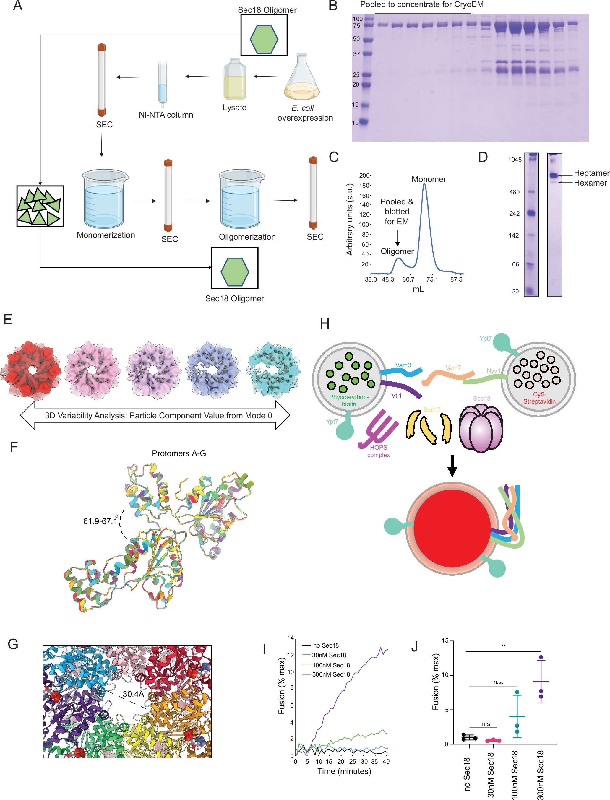 Extended Data Fig. 6