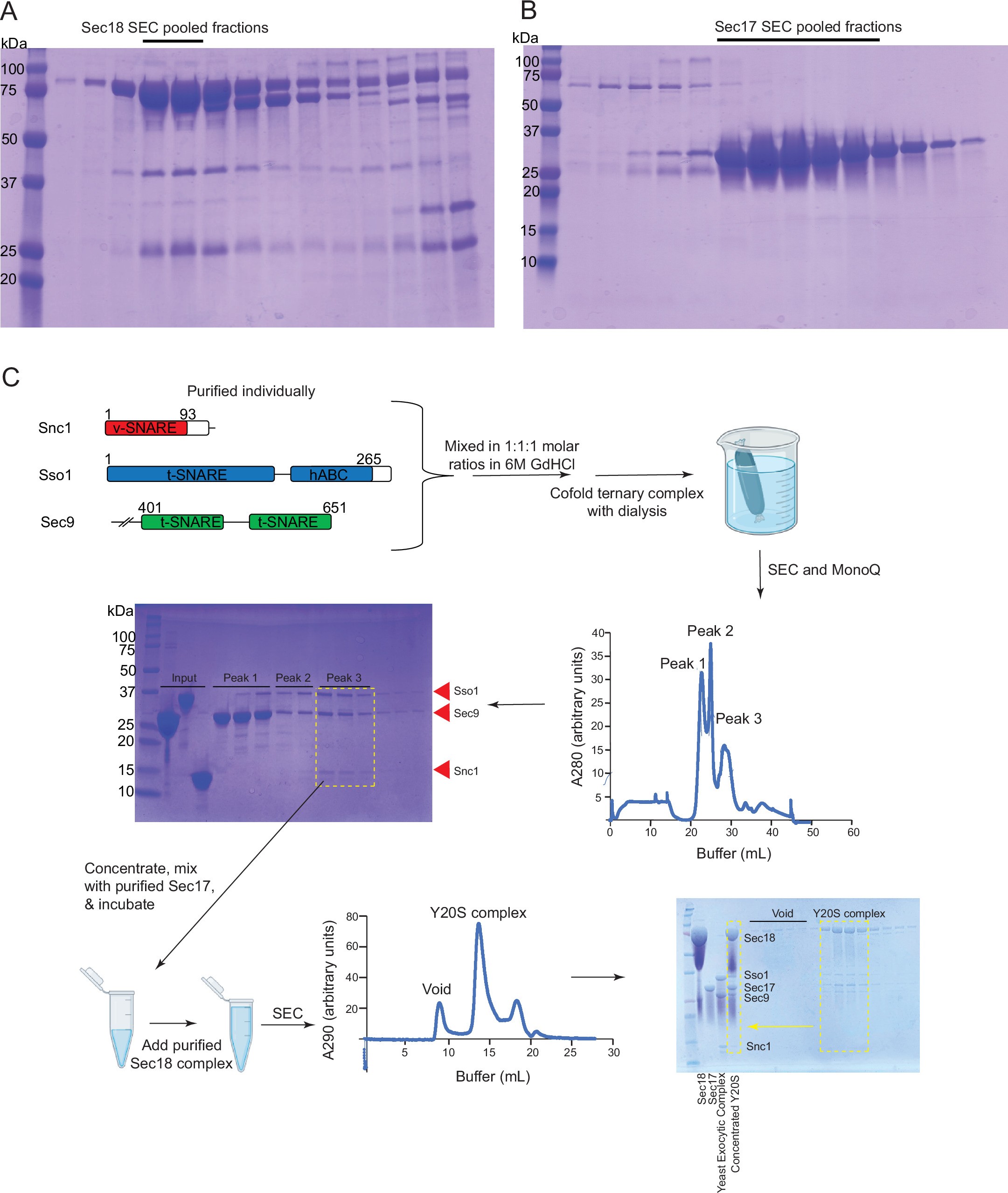 Extended Data Fig. 2