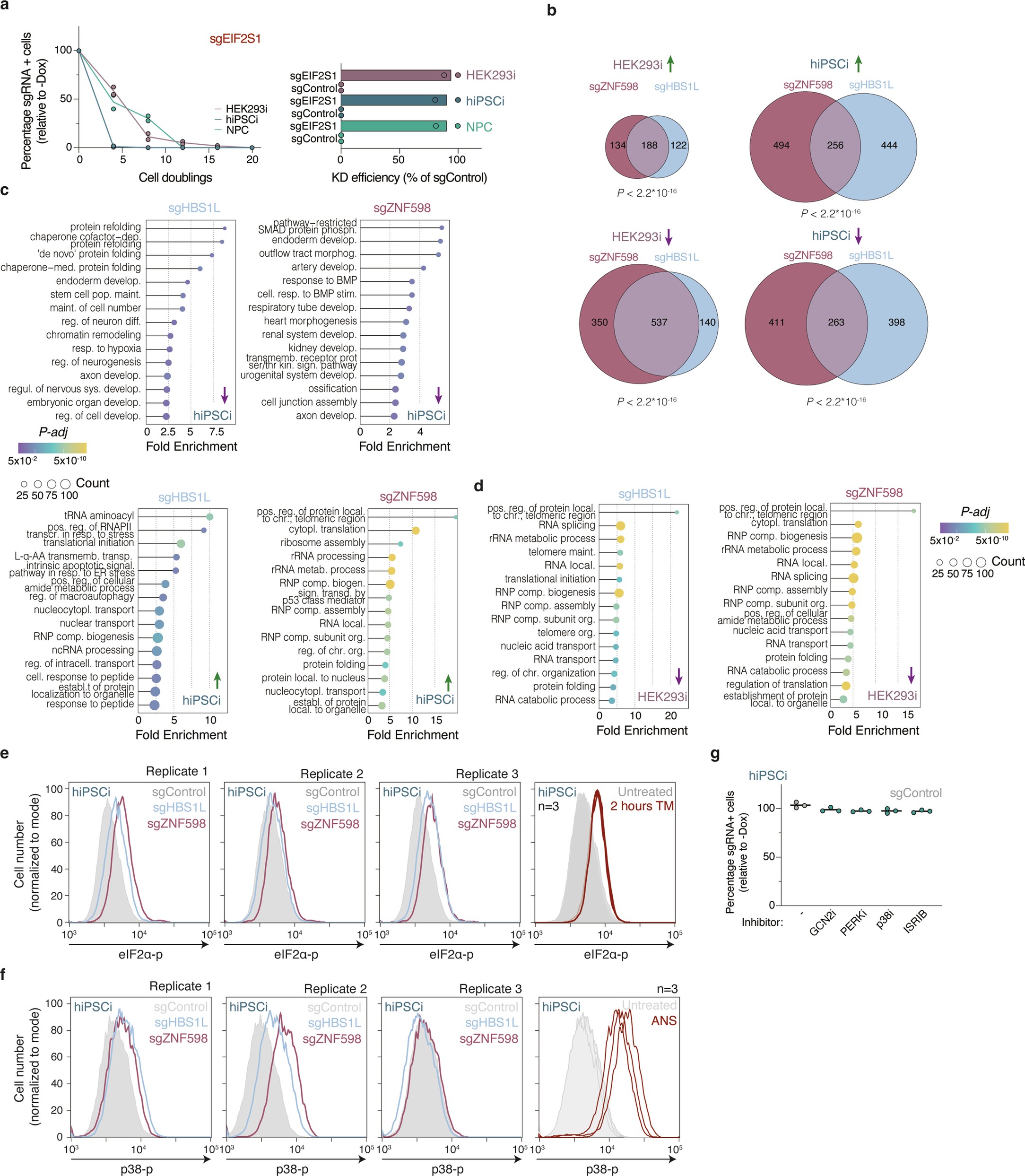 Extended Data Fig. 5