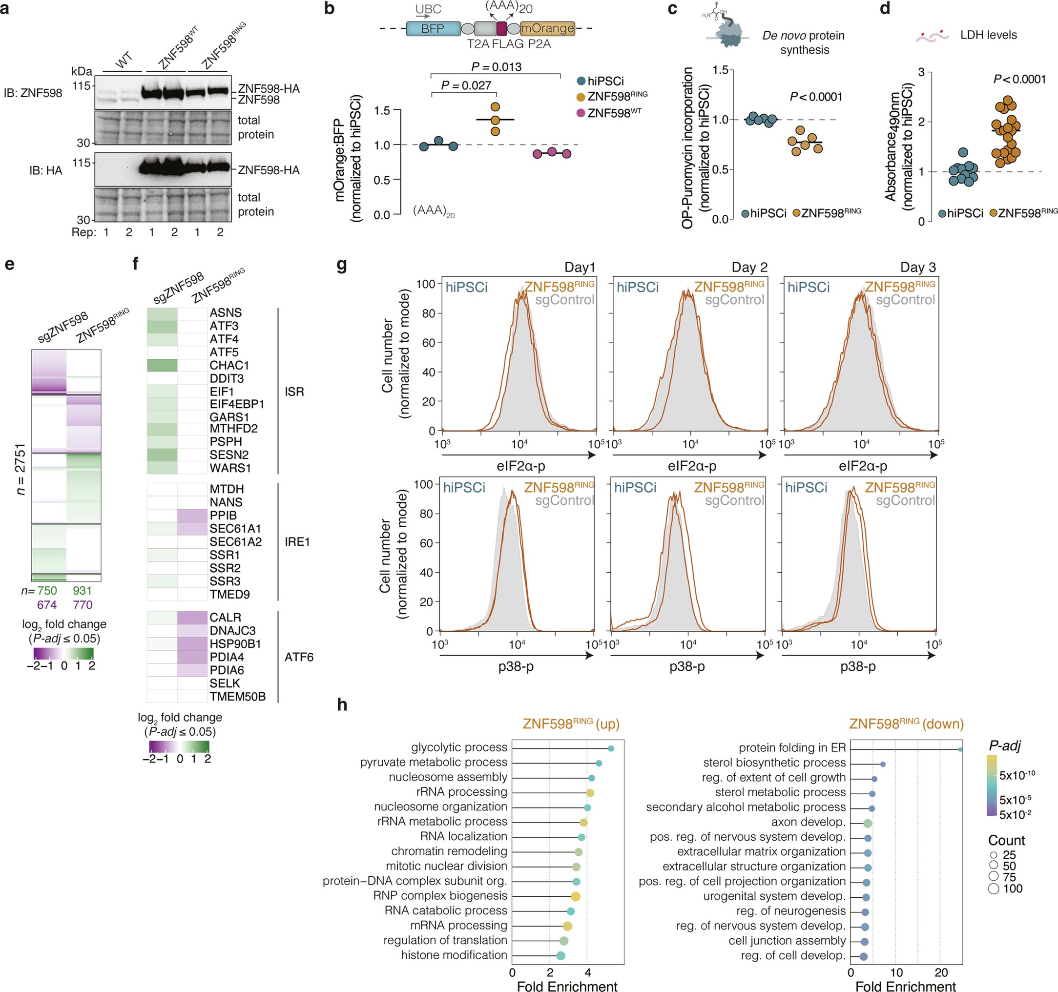 Extended Data Fig. 6