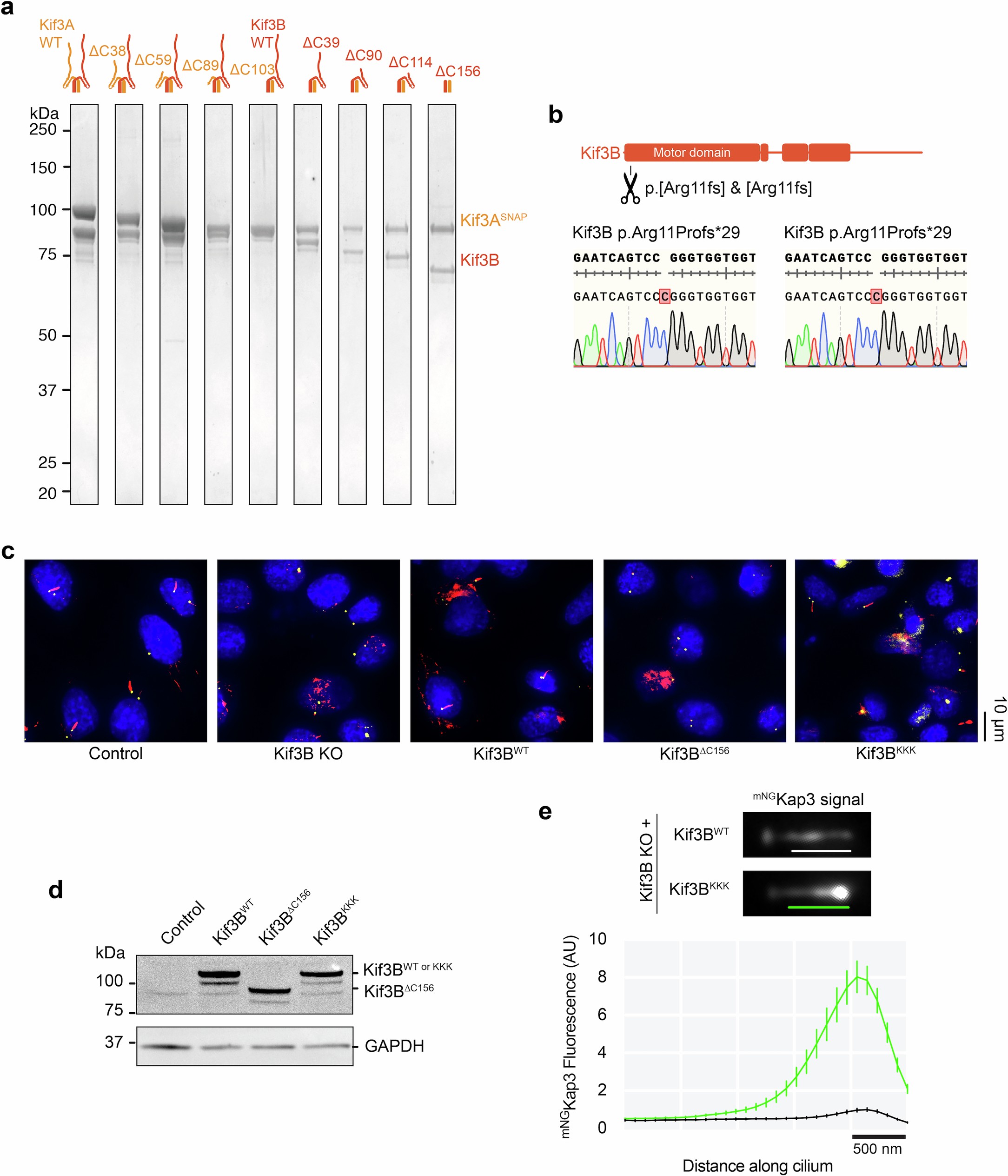 Extended Data Fig. 2