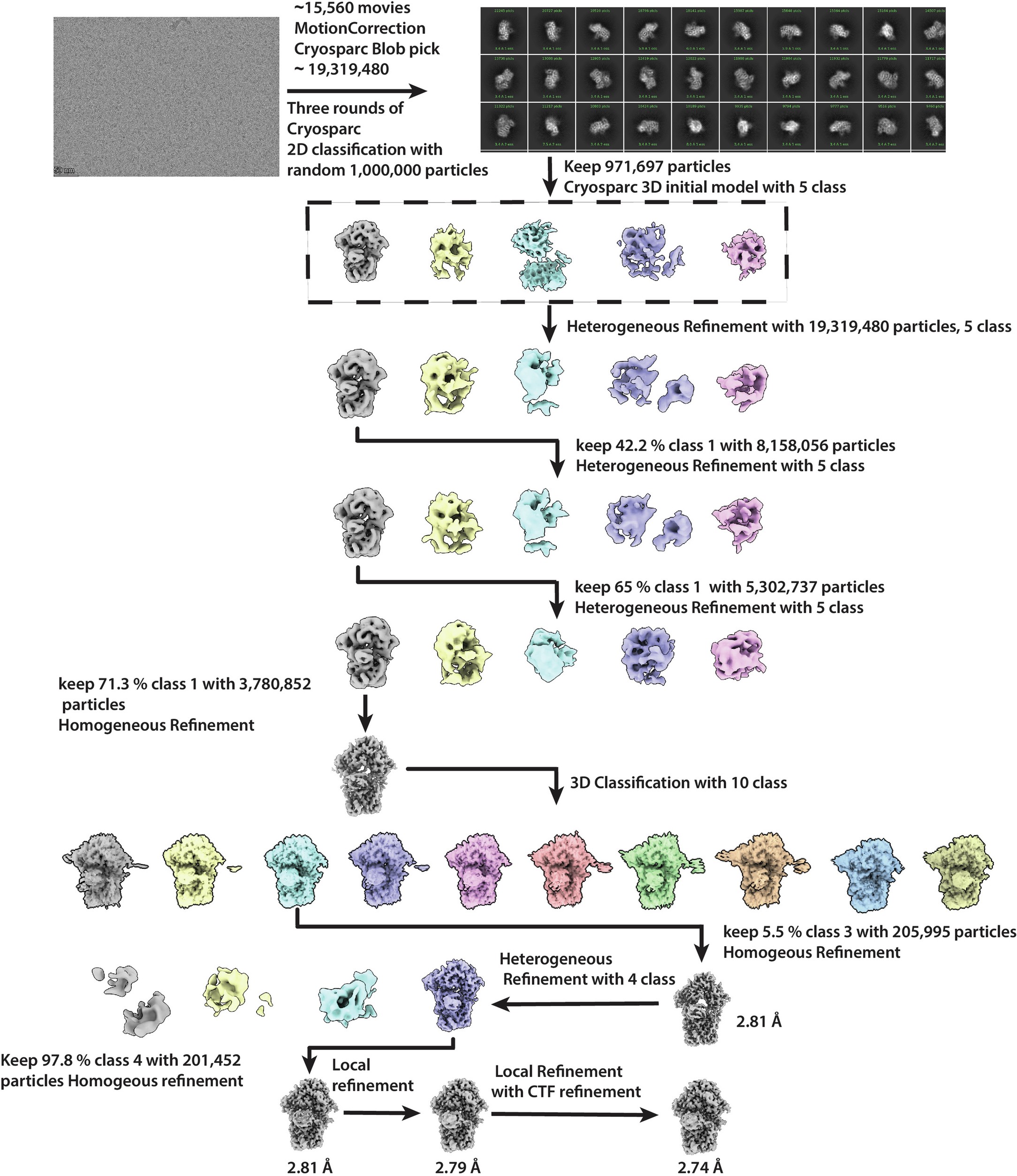 Extended Data Fig. 2