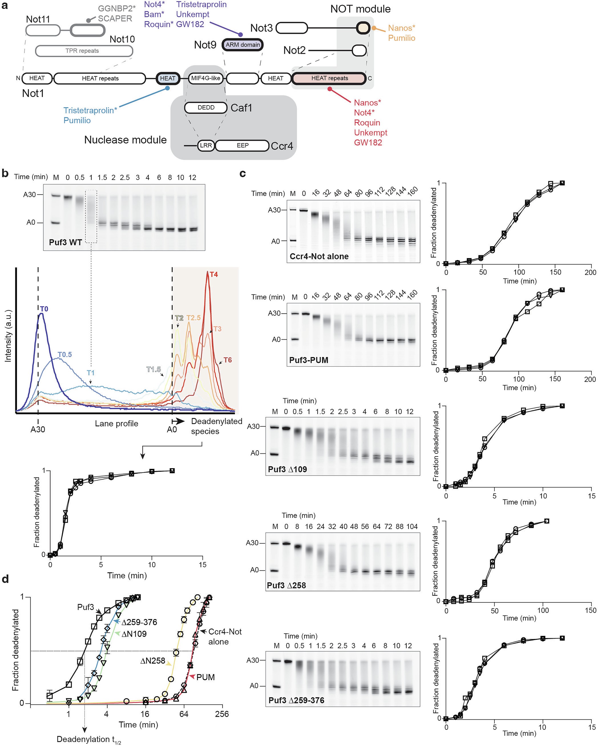 Extended Data Fig. 1