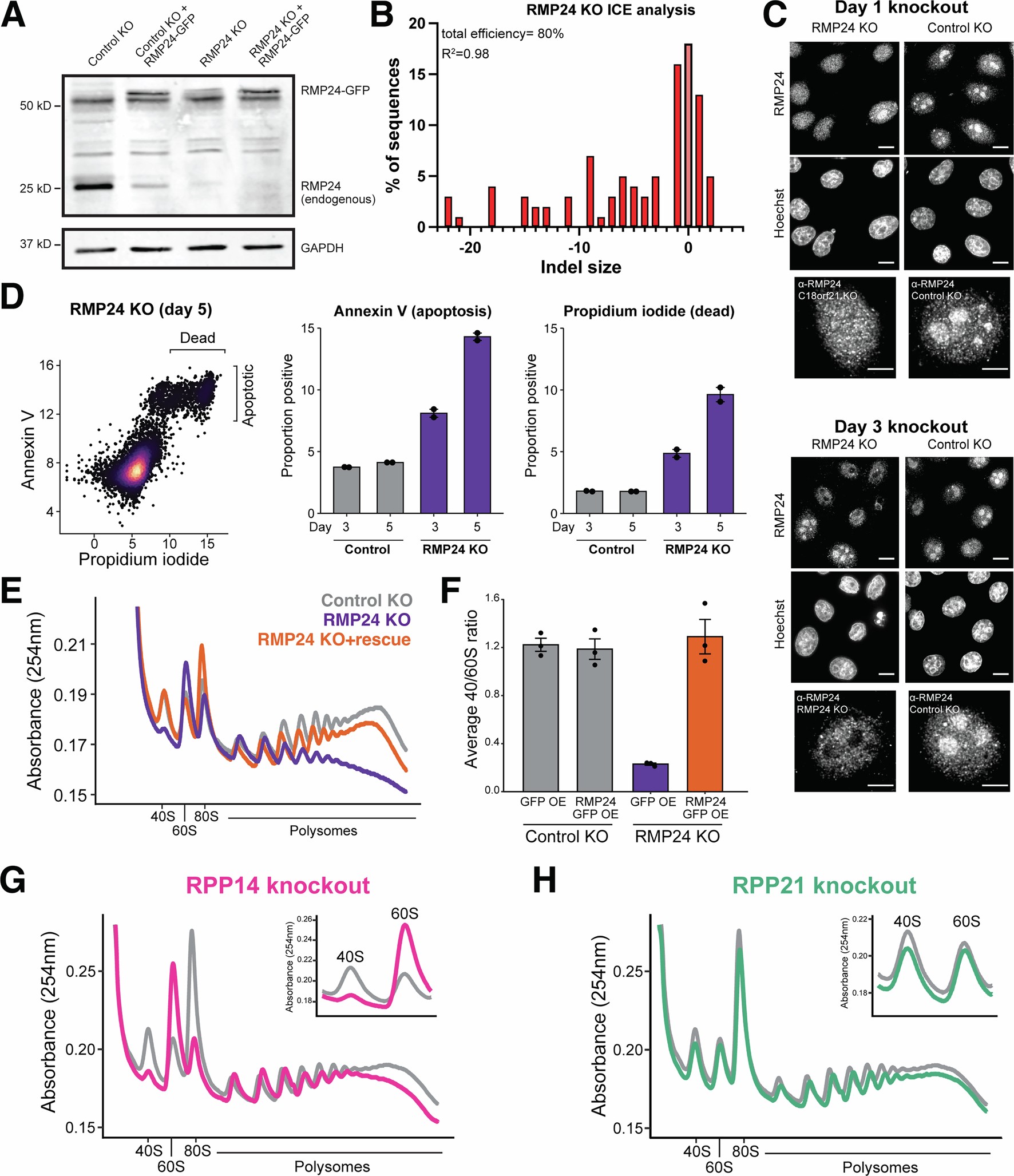 Extended Data Fig. 5