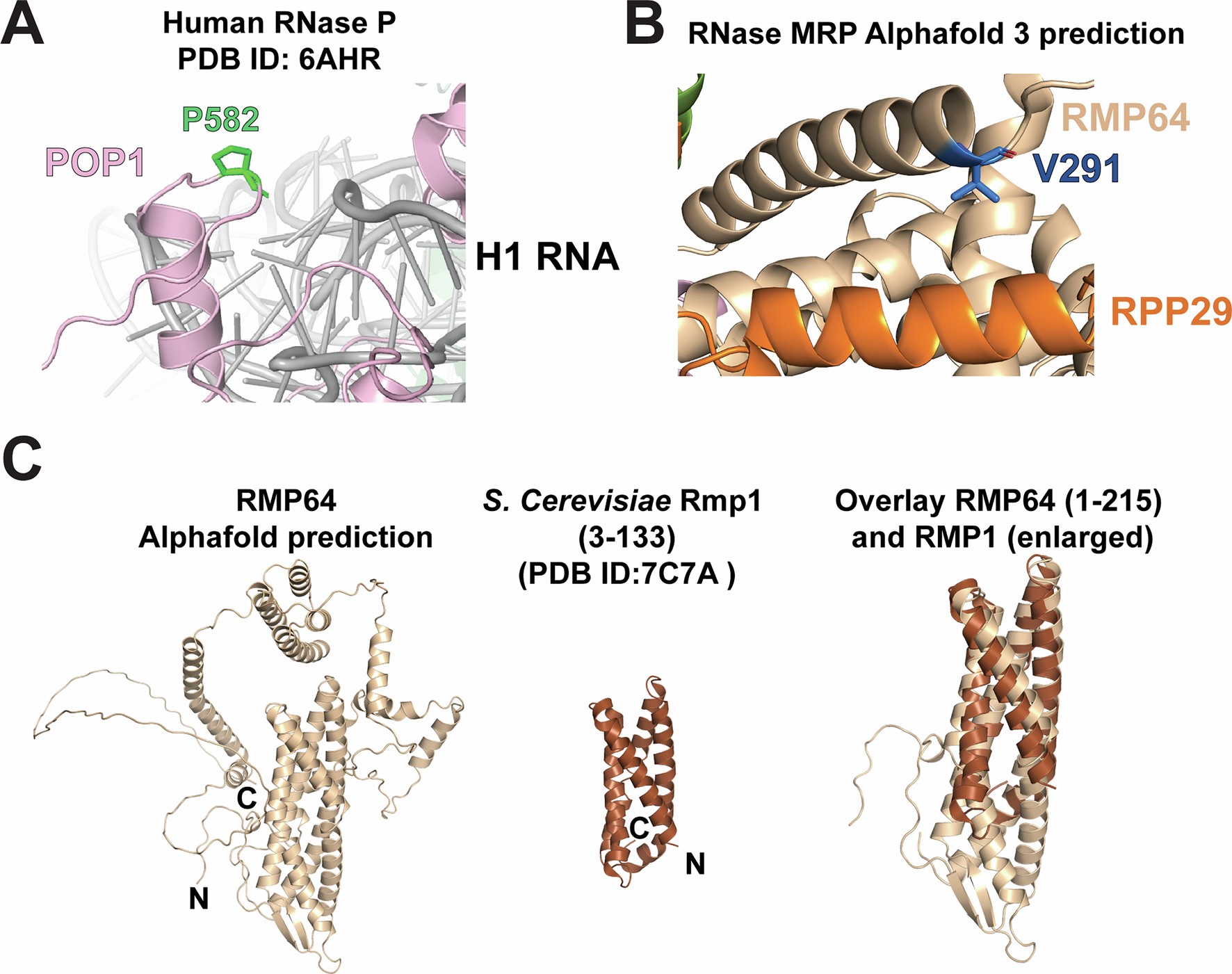 Extended Data Fig. 9