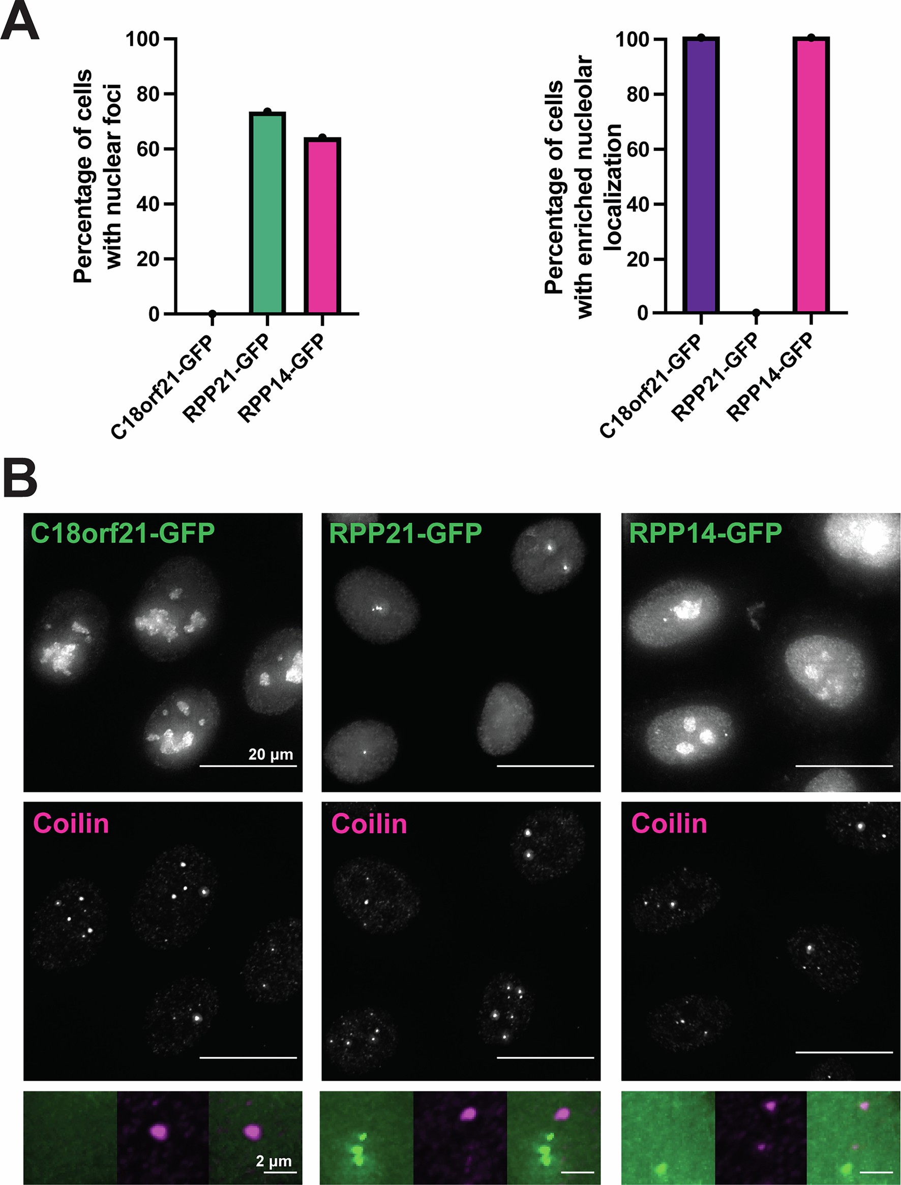Extended Data Fig. 2