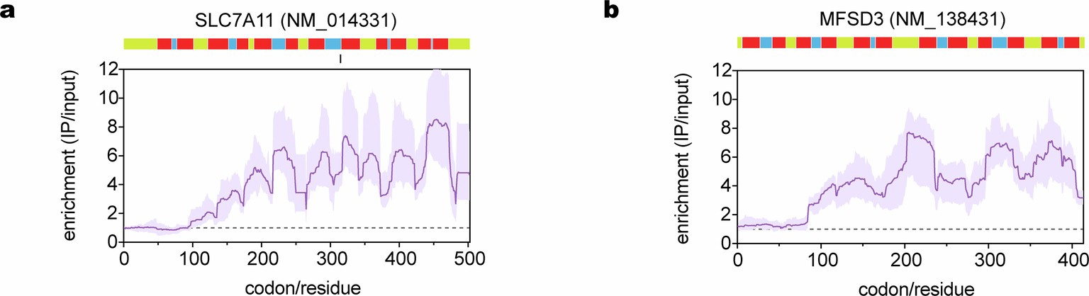 Extended Data Fig. 5: MPT persistence is independent of the number of TMDs.