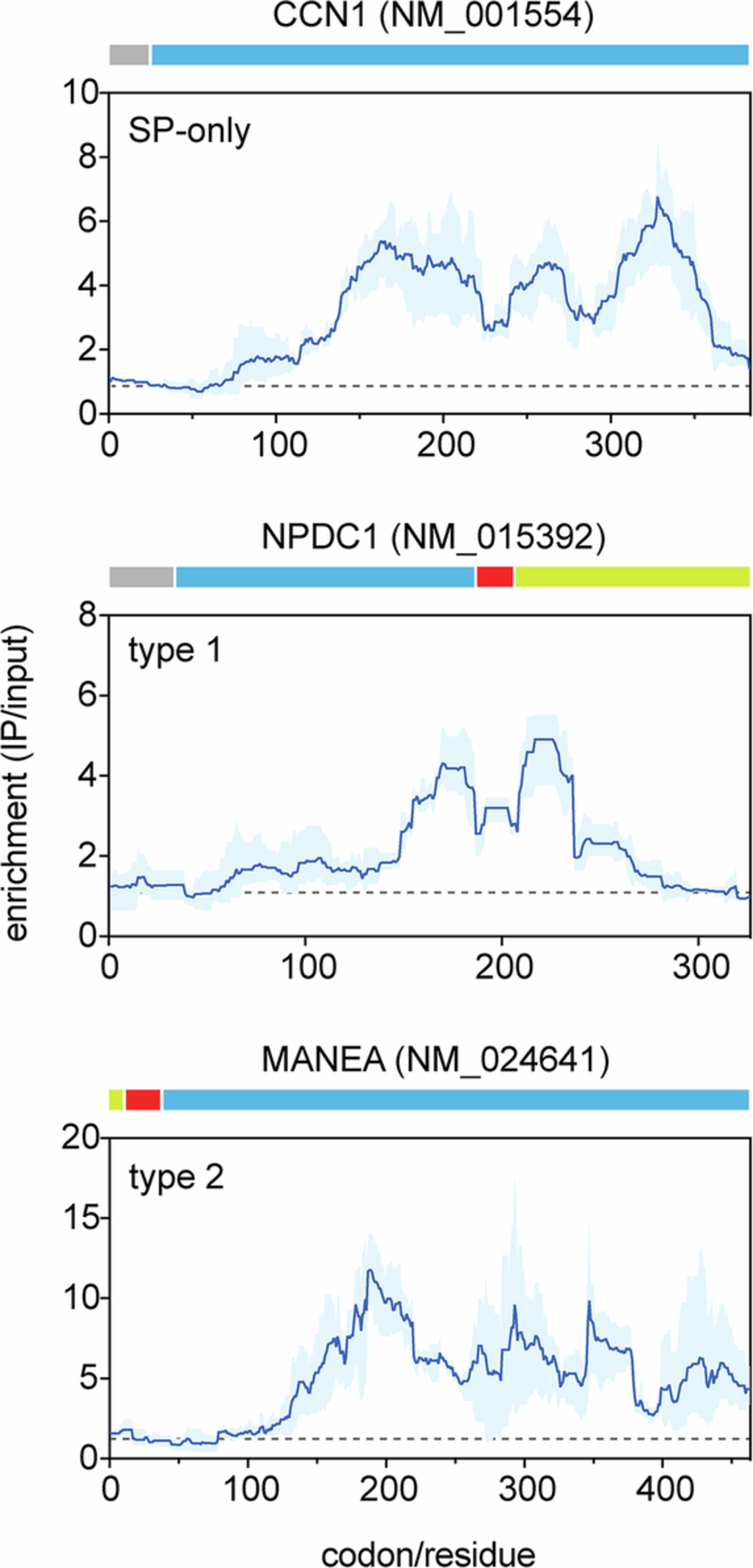 Extended Data Fig. 4: OST-A recruitment is independent of N-glycosylation acceptor sites.