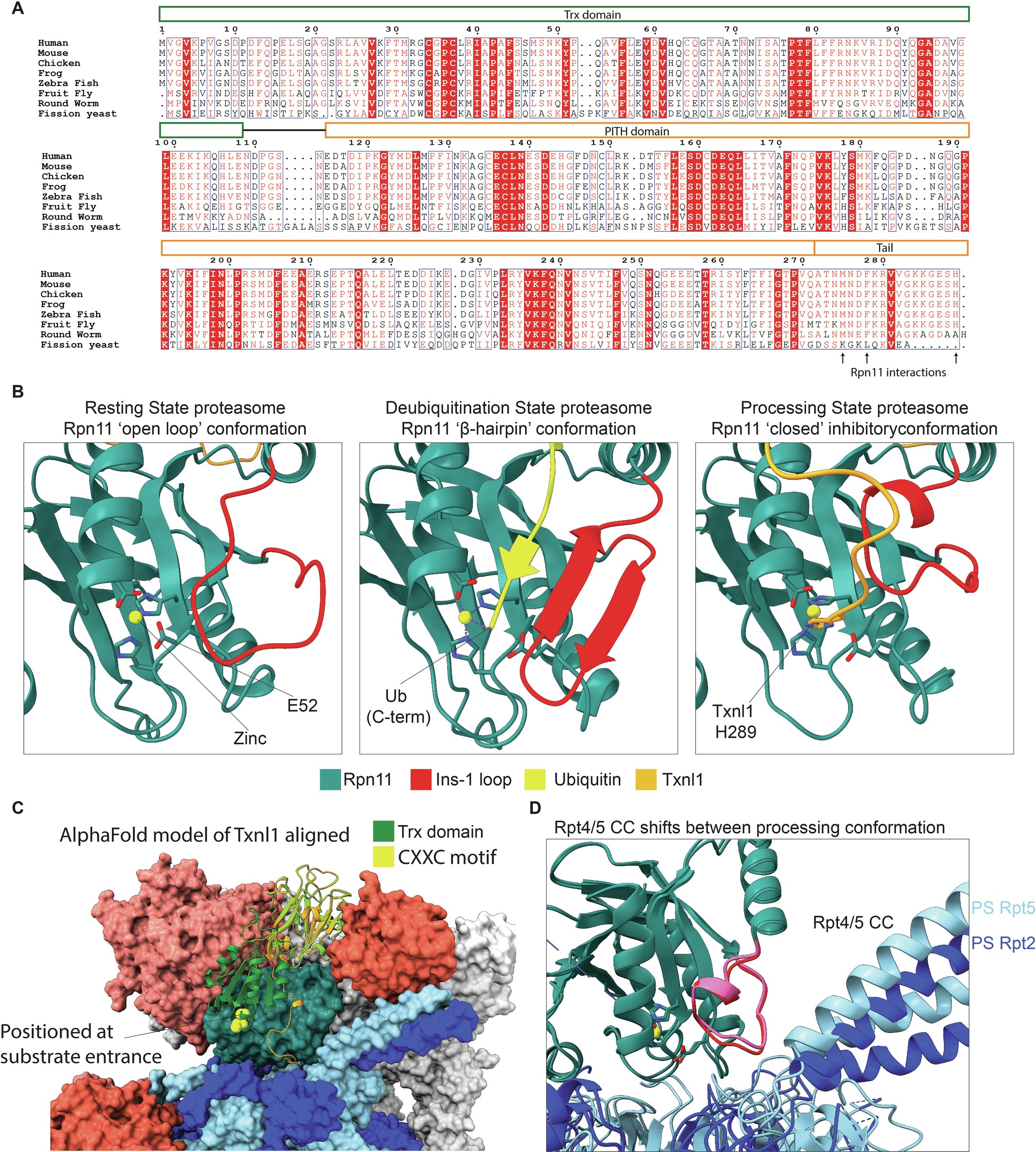 Extended Data Fig. 4