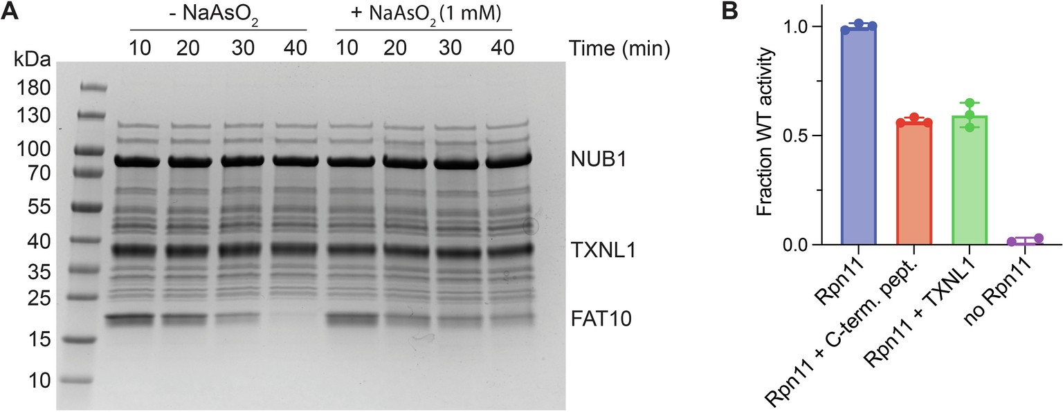 Extended Data Fig. 5